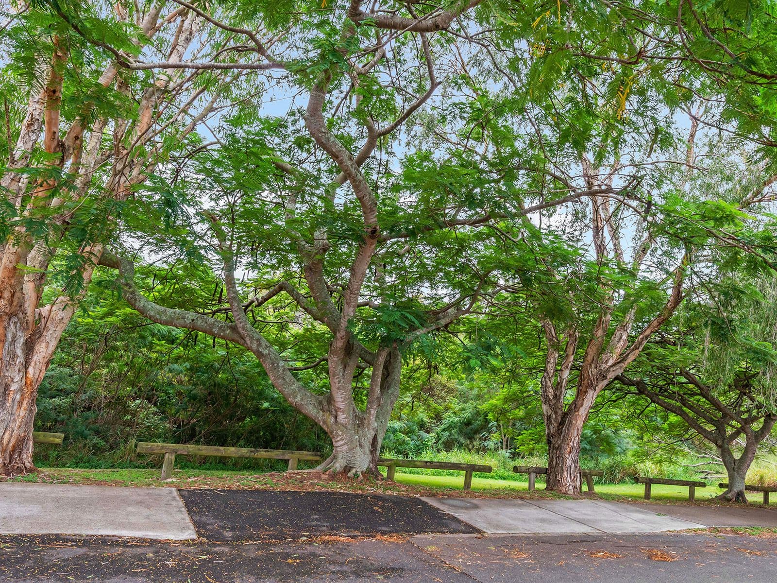 52 Magenta Street, Wavell Heights QLD 4012, Wavell Heights - Thumbnail 3