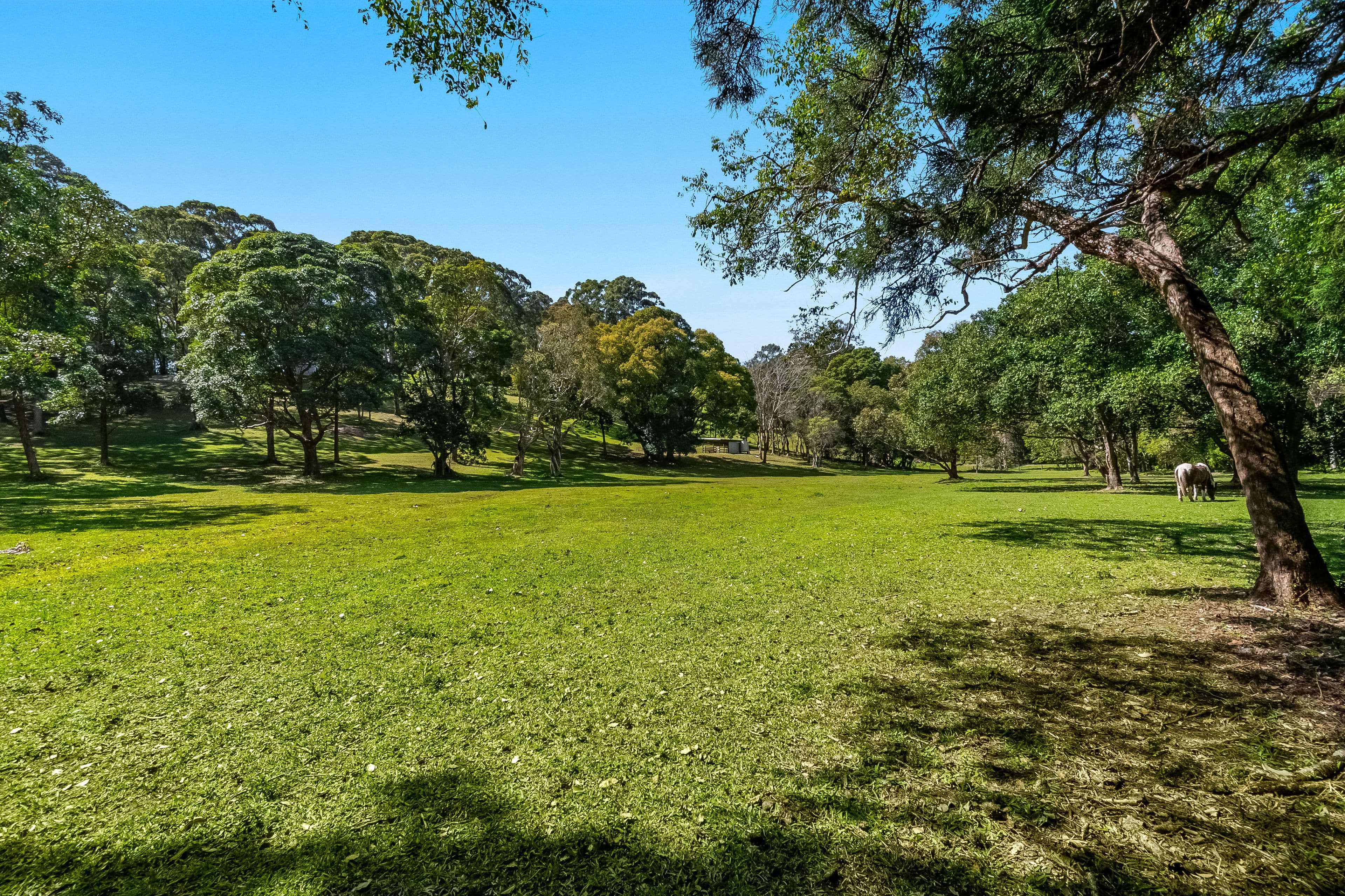 23 Hamiltons Lane, Byron Bay NSW 2481, Byron Bay - Thumbnail 3