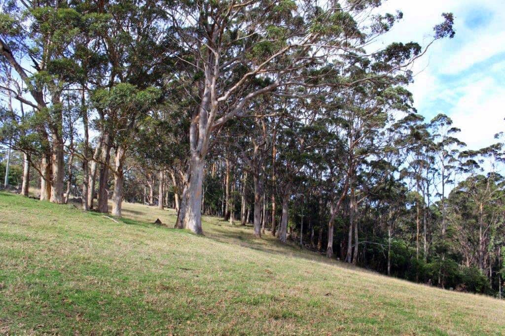Lot 38 Illsley Drive, Denmark WA 6333, Denmark - Thumbnail 2