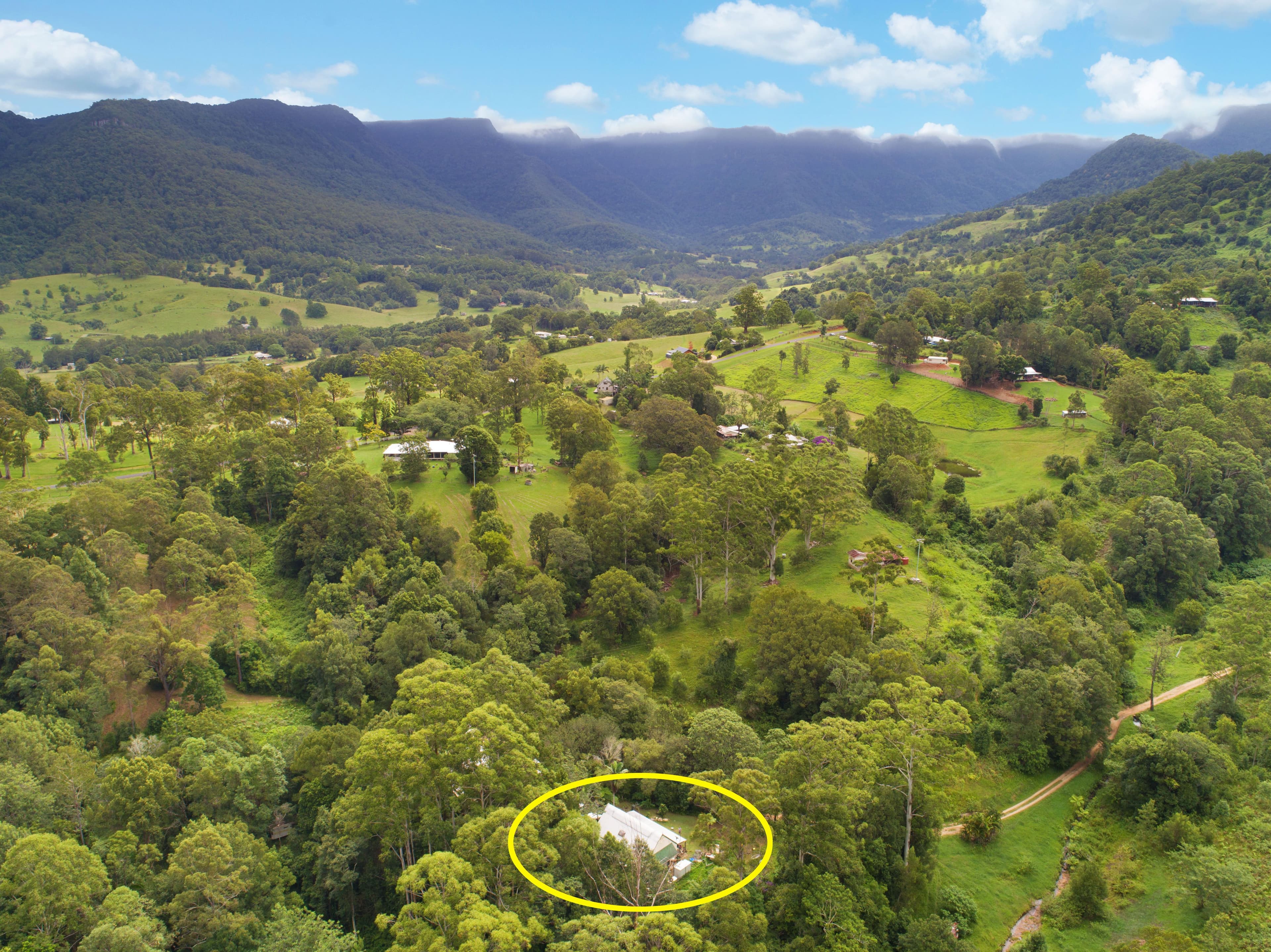54 Bald Mountain Road, Limpinwood NSW 2484, Limpinwood - Thumbnail 8