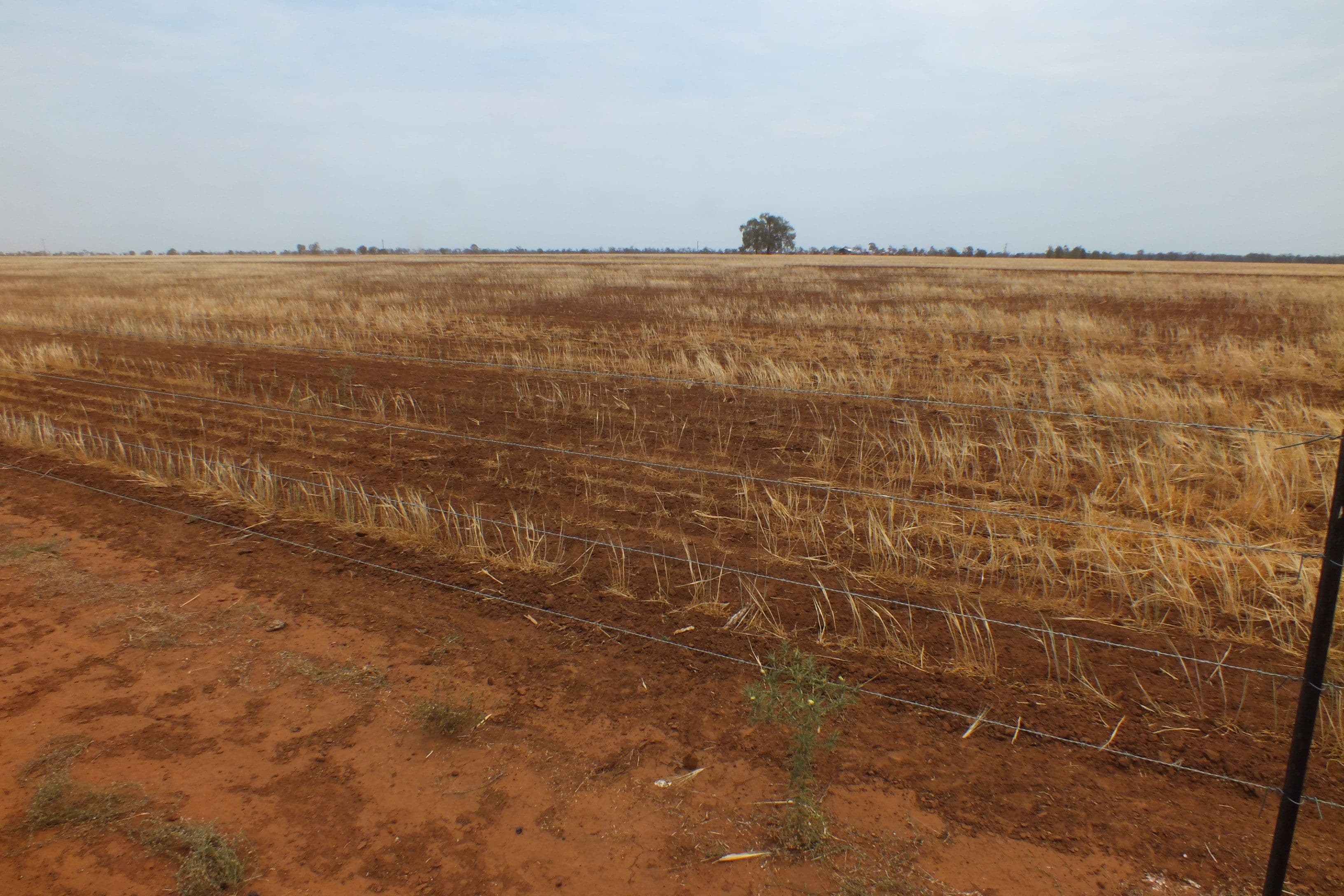 300 Milroy Road, Tulloona NSW 2400, Tulloona - Image 1