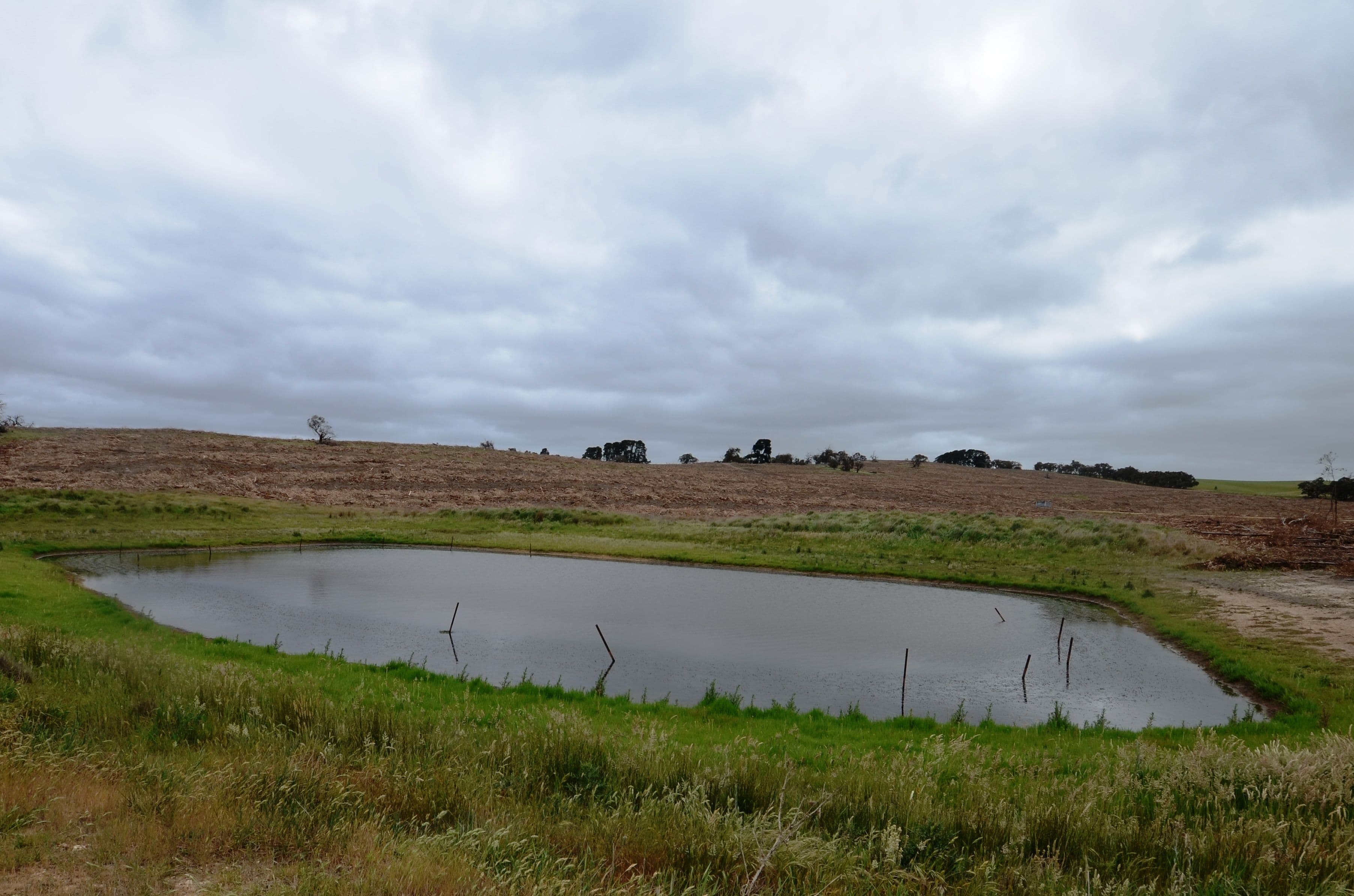 Lot 1 "Curlewis" Ellis Road, BEAUFORT VIC 3373, Beaufort - Thumbnail 2