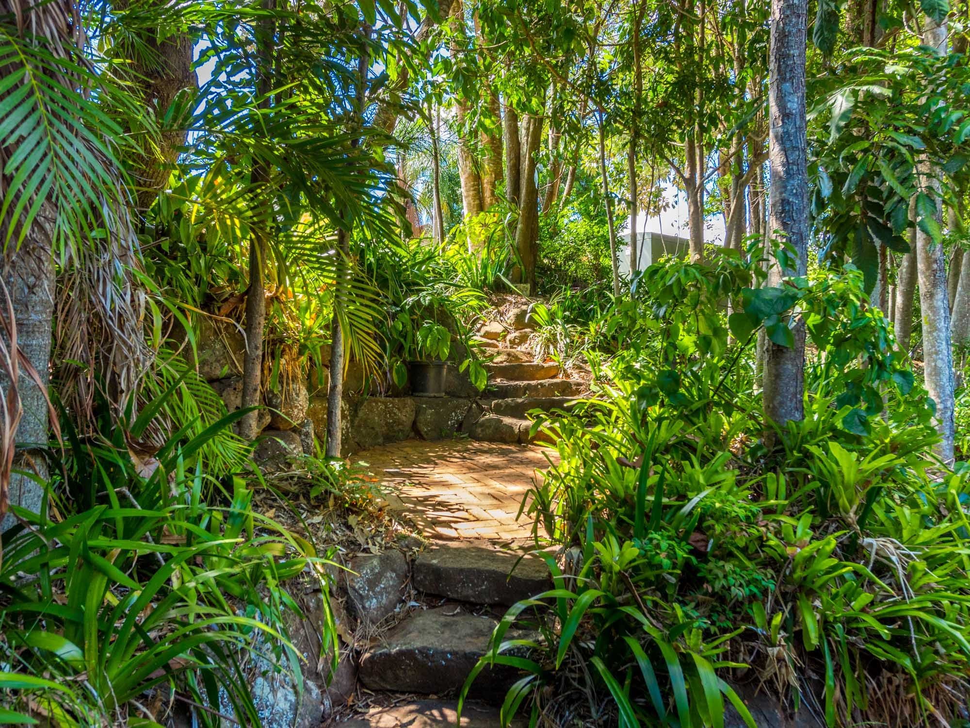 15 Dudley Drive, Goonellabah - Thumbnail 4