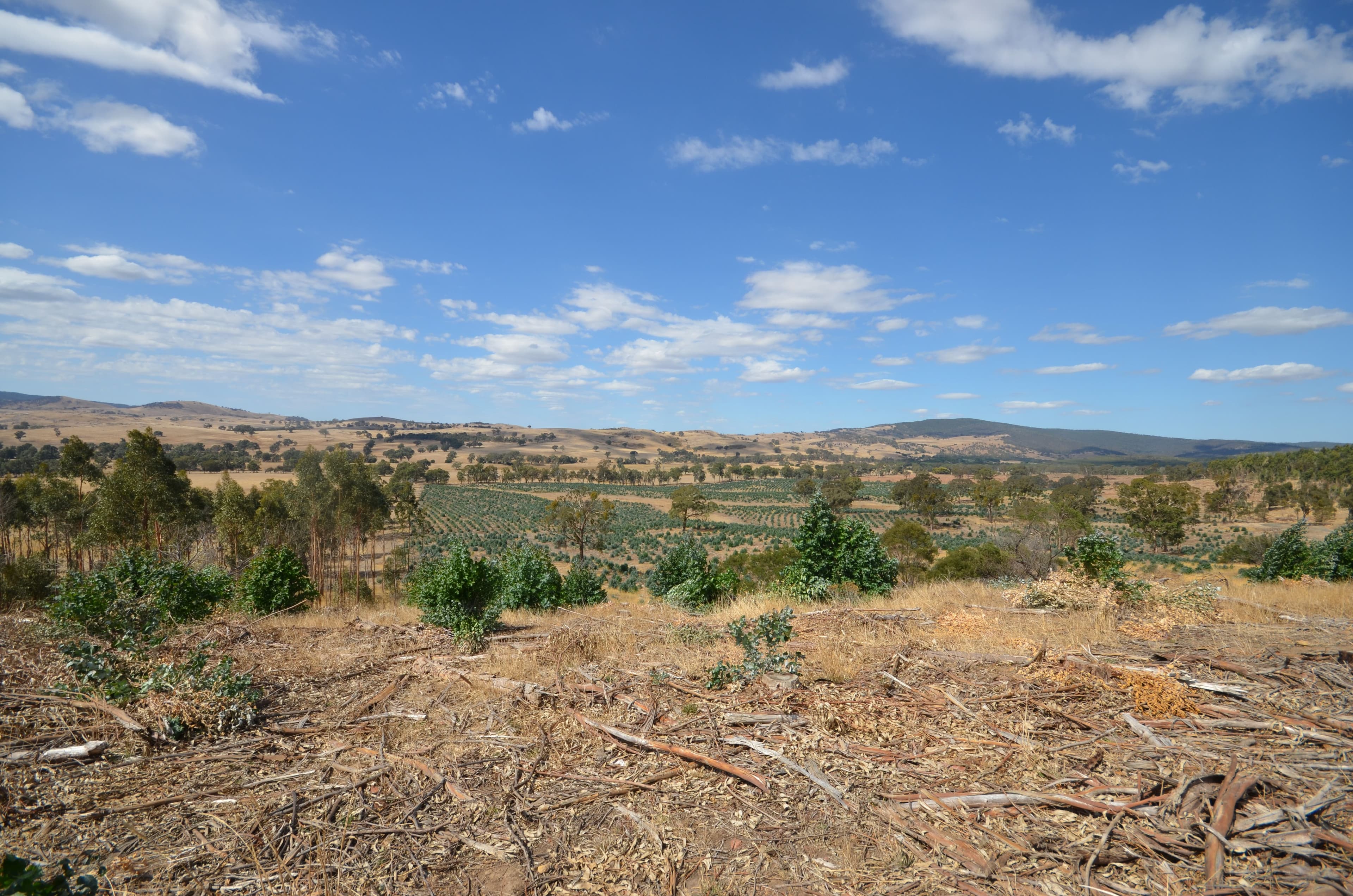 "Darbyshire" Hickman Creek Road, Glenlogie VIC 3469, Glenlogie - Thumbnail 6