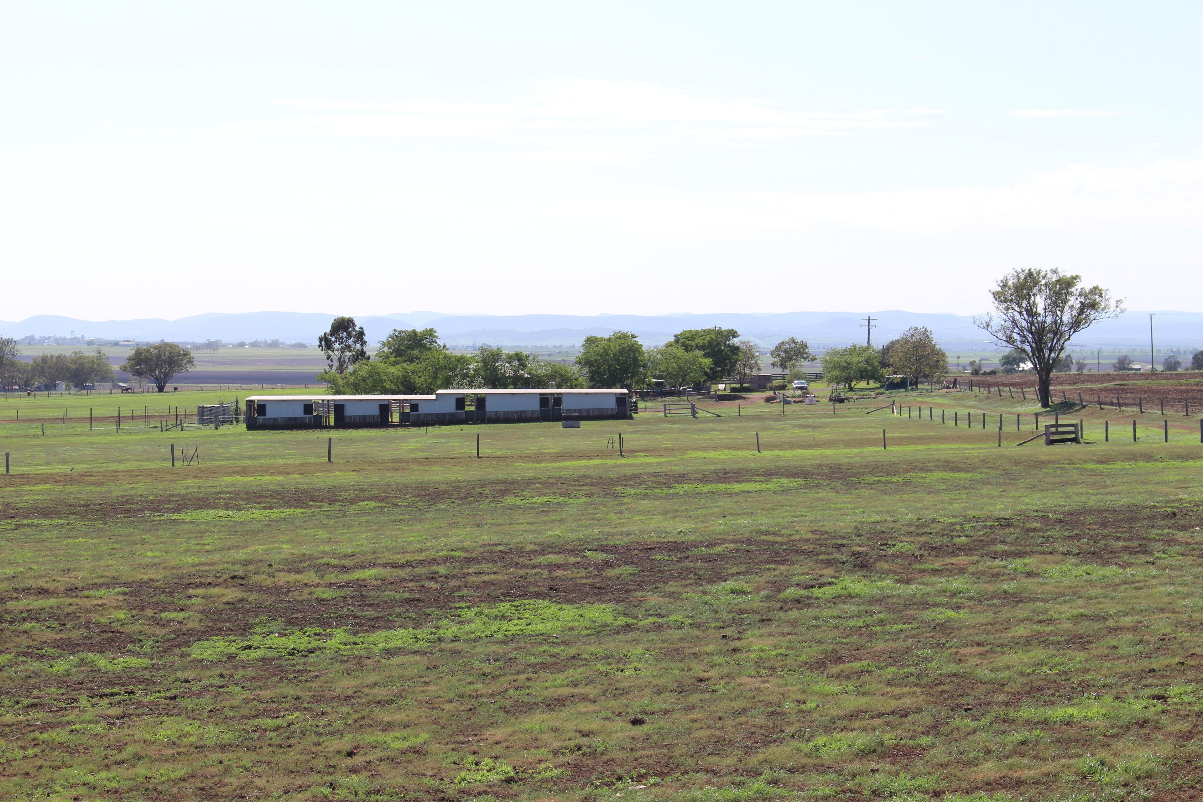 491 Doolan Road, Nobby QLD 4360, Nobby - Thumbnail 7