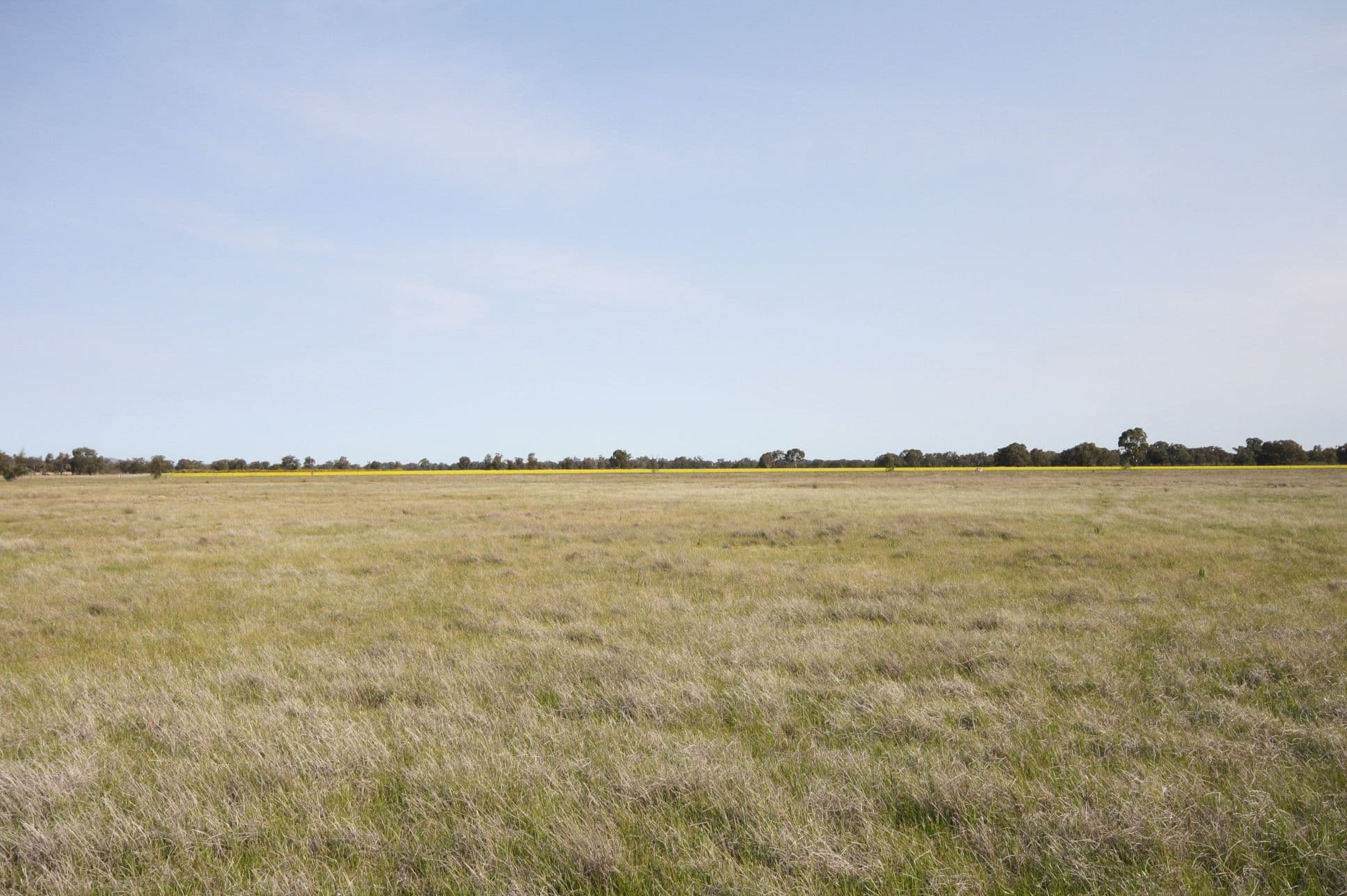 59 Old Banyena Road, ST ARNAUD VIC 3478, St Arnaud - Thumbnail 5