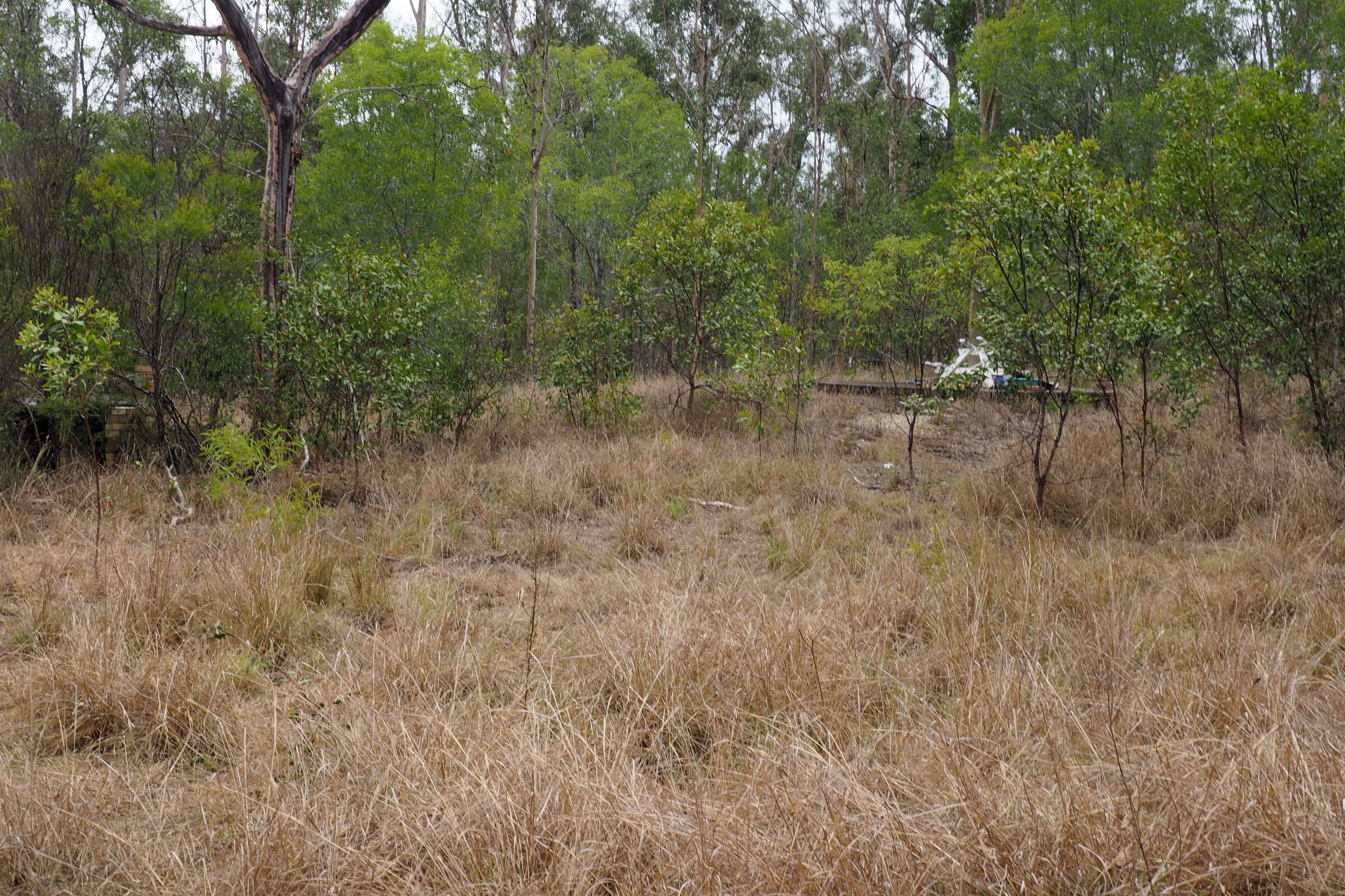 195 Nangarin Road, Oakhurst QLD 4650, Oakhurst - Thumbnail 5
