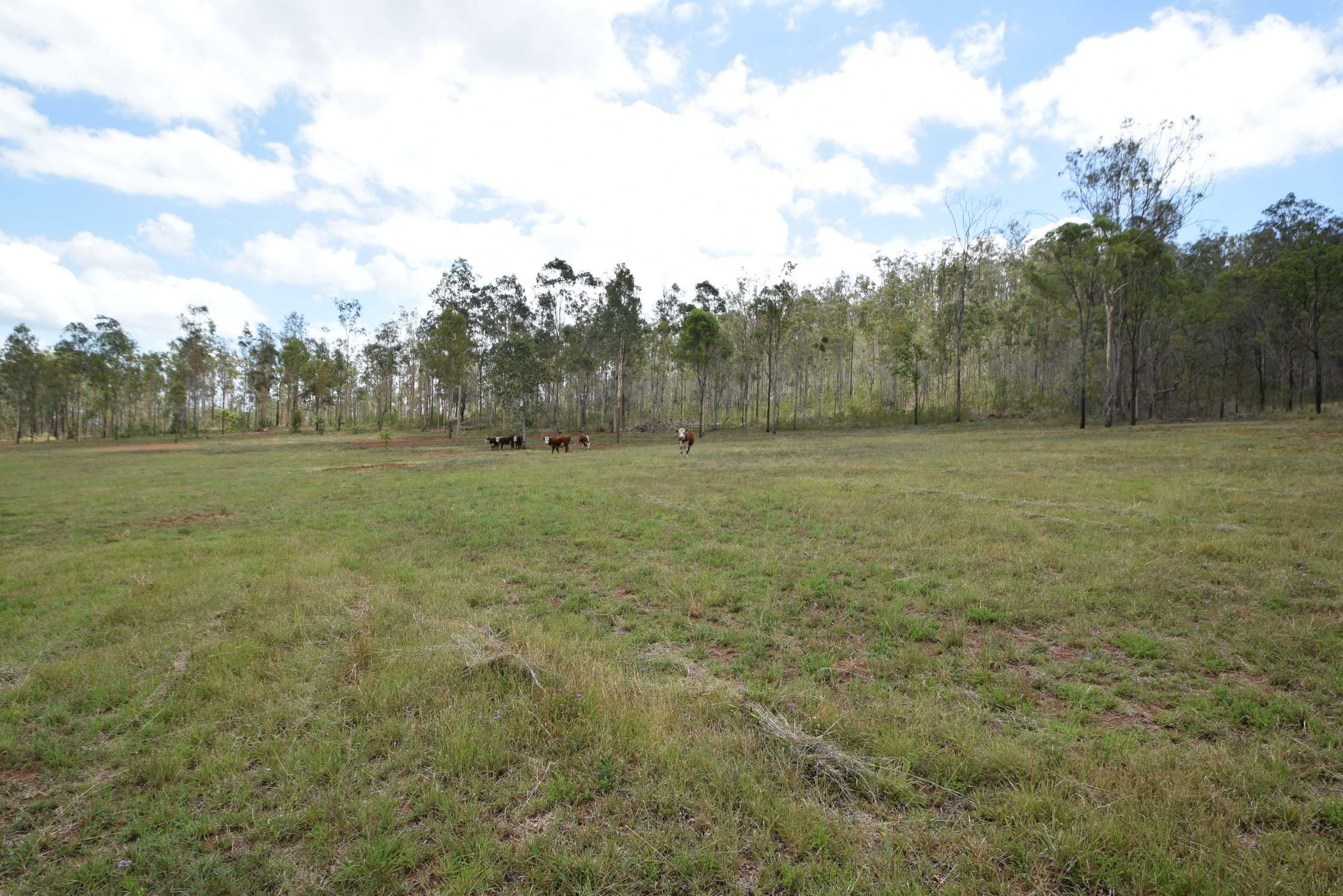 Lot 2 Gatton Esk Road, Esk QLD 4312, Esk - Thumbnail 3