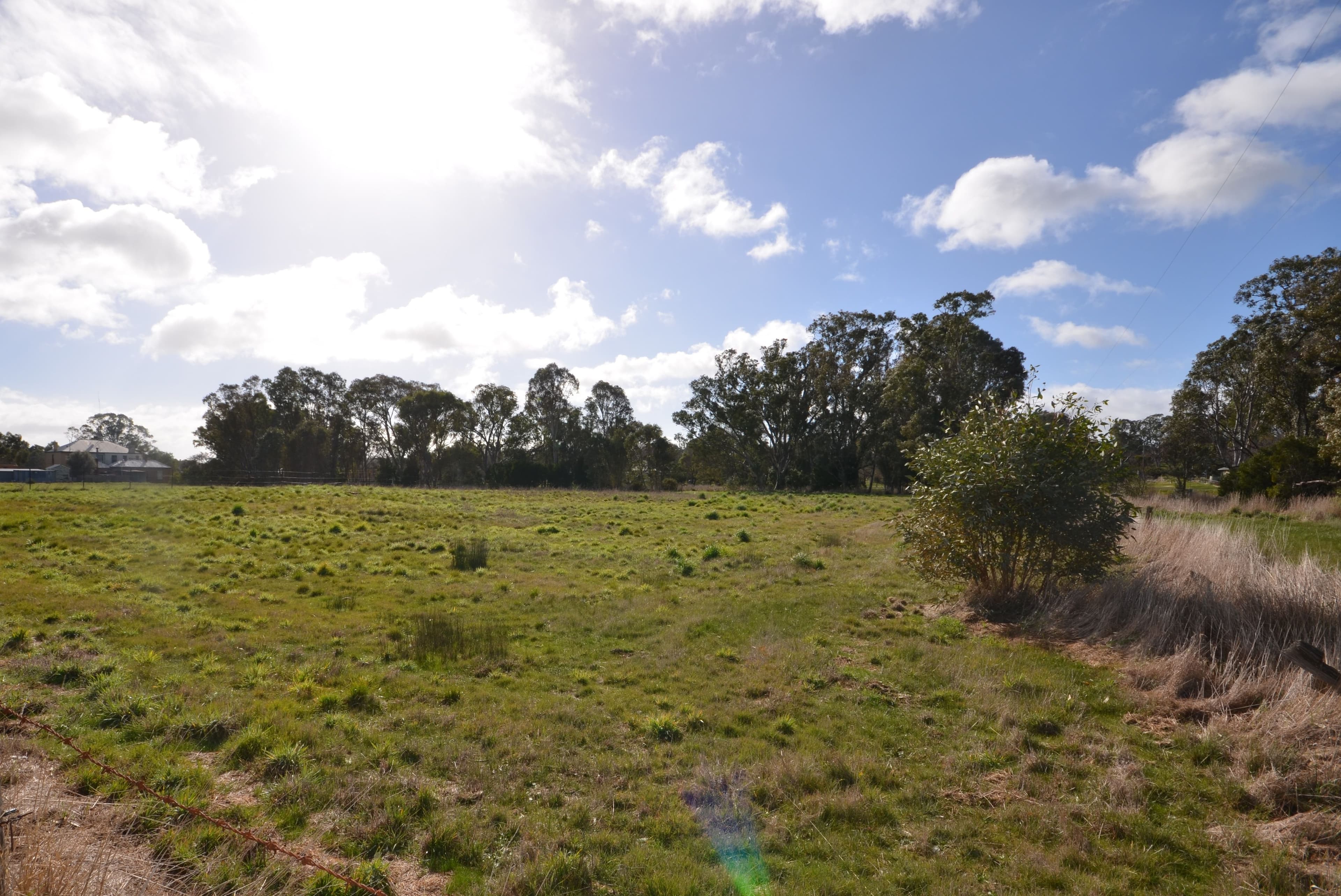 CA 8 & 9 Thomson Street, Lexton  Victoria  3352, Australia, Lexton - Image 1