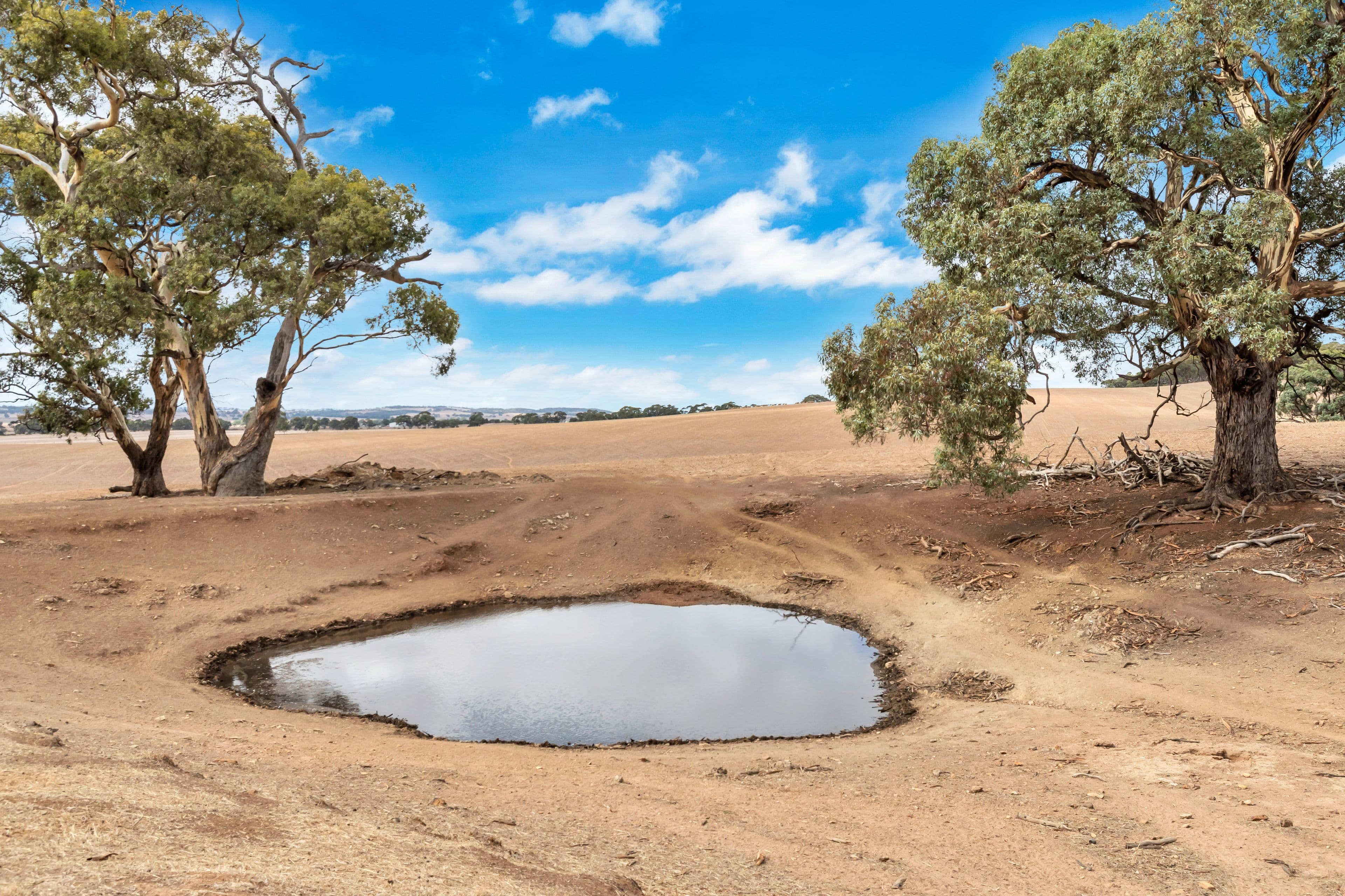 "Vingo's" Lot 57 Powerline South Road, Marrabel SA 5413, Marrabel - Thumbnail 3