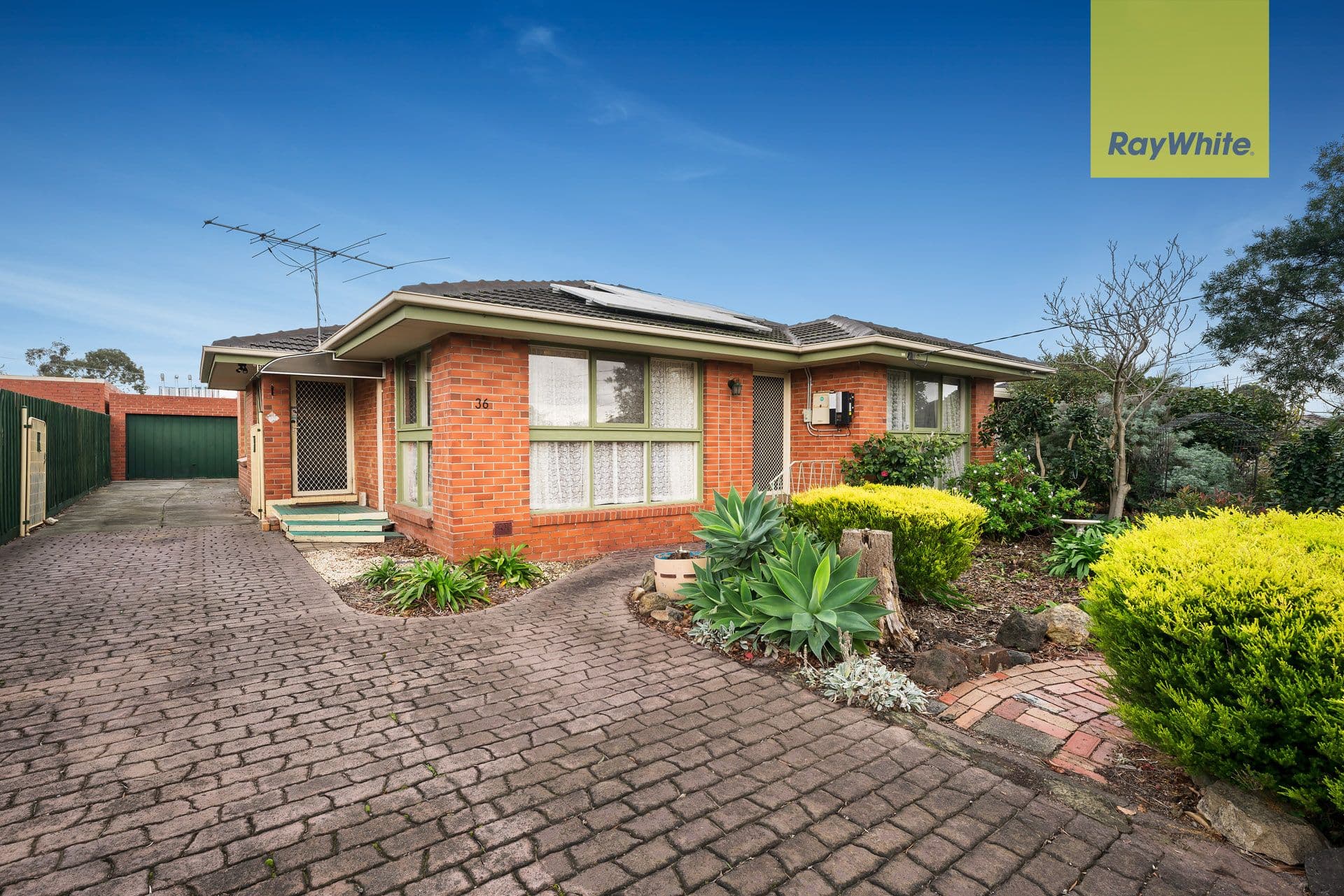 36 Ruby Street, Burwood East VIC 3151, Burwood East - Thumbnail 3