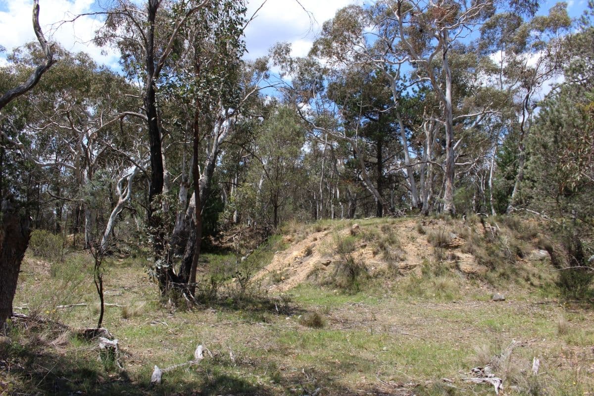 MOUNT LAMBIE NSW 2790, Mount Lambie - Thumbnail 3
