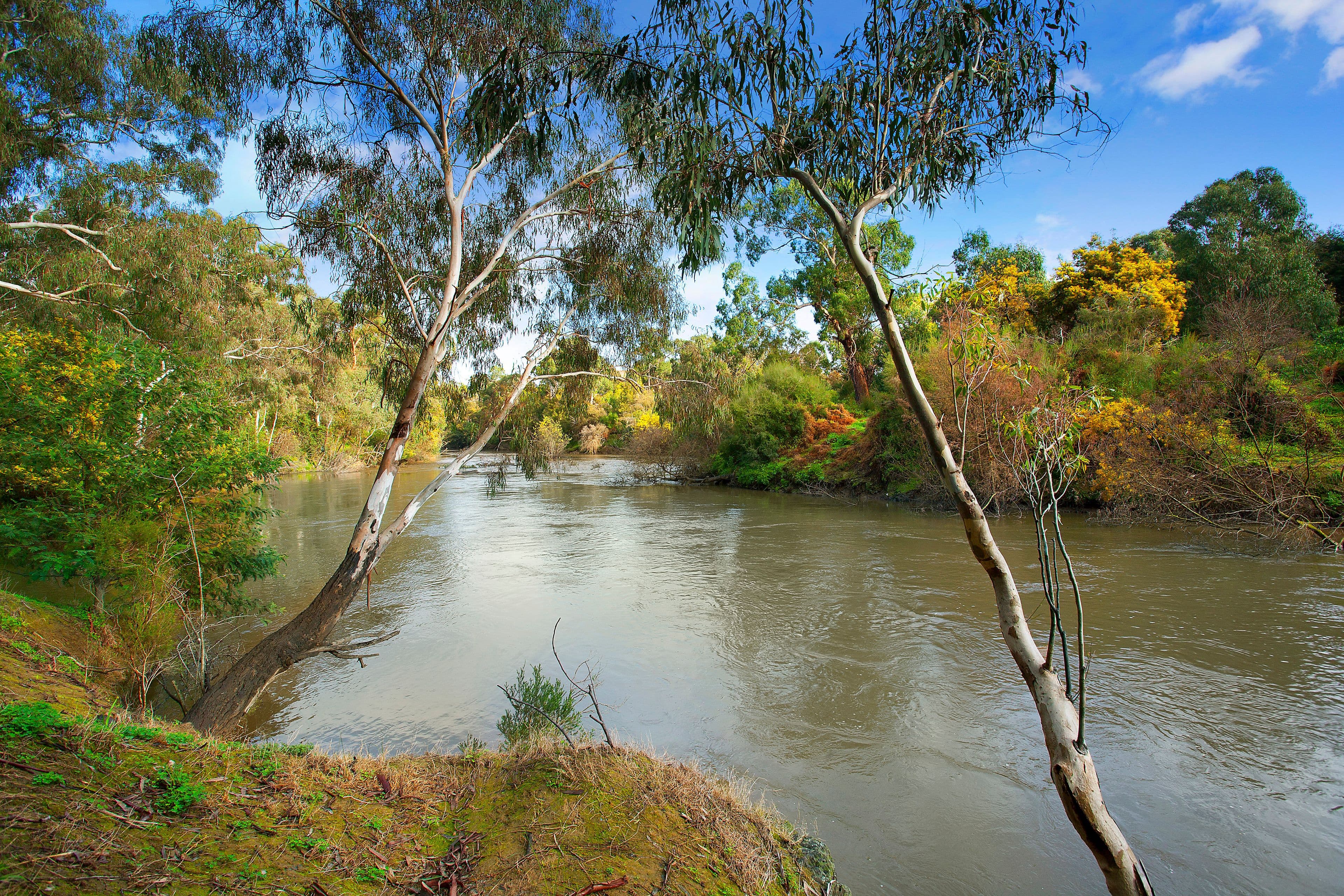 118 Kangaroo Ground - Warrandyte Road, North Warrandyte VIC 3113, North Warrandyte - Thumbnail 4