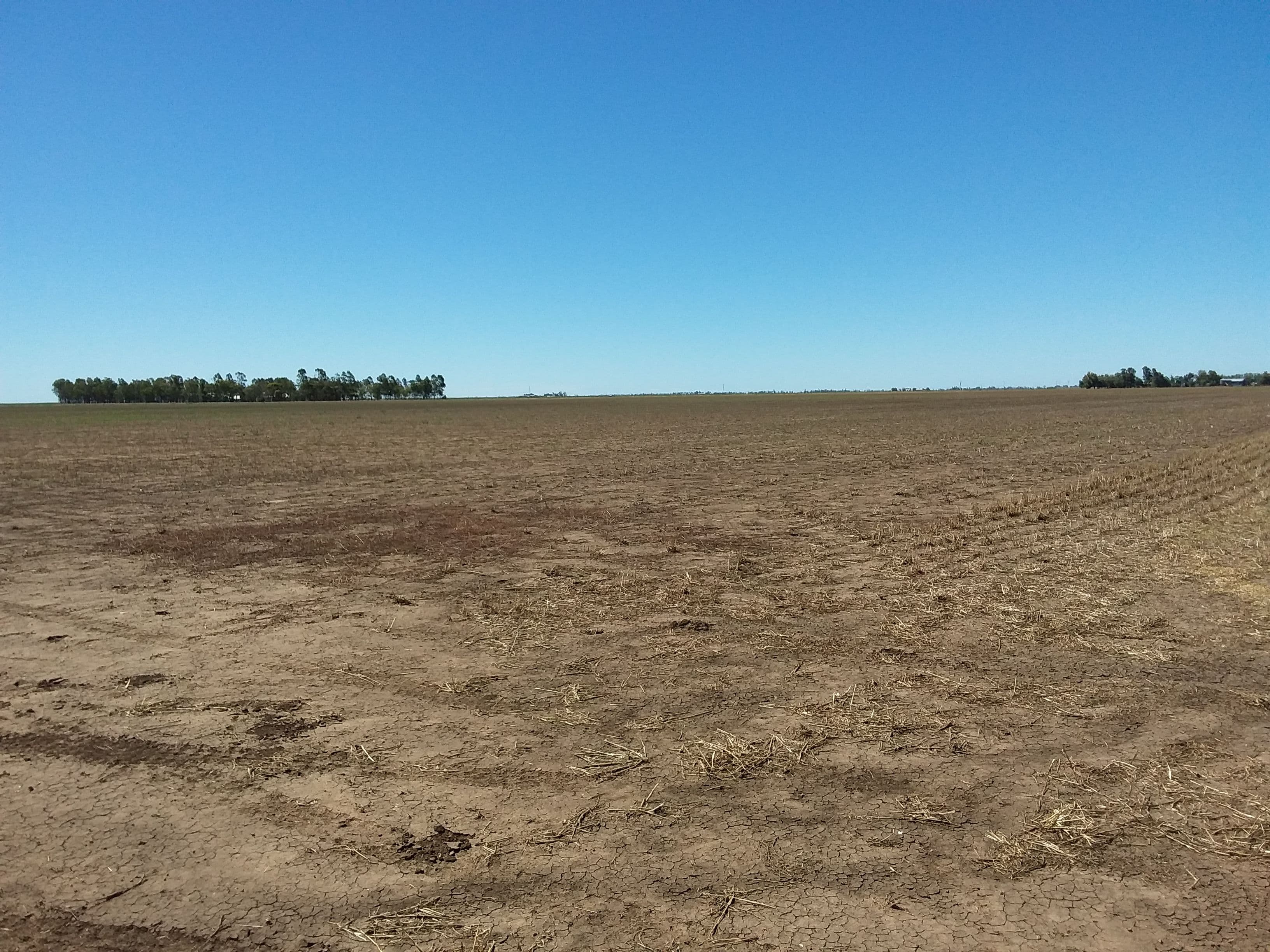 "Baroona" 1219 Bowenville-Norwin Road, Formartin QLD 4404, Formartin - Thumbnail 8