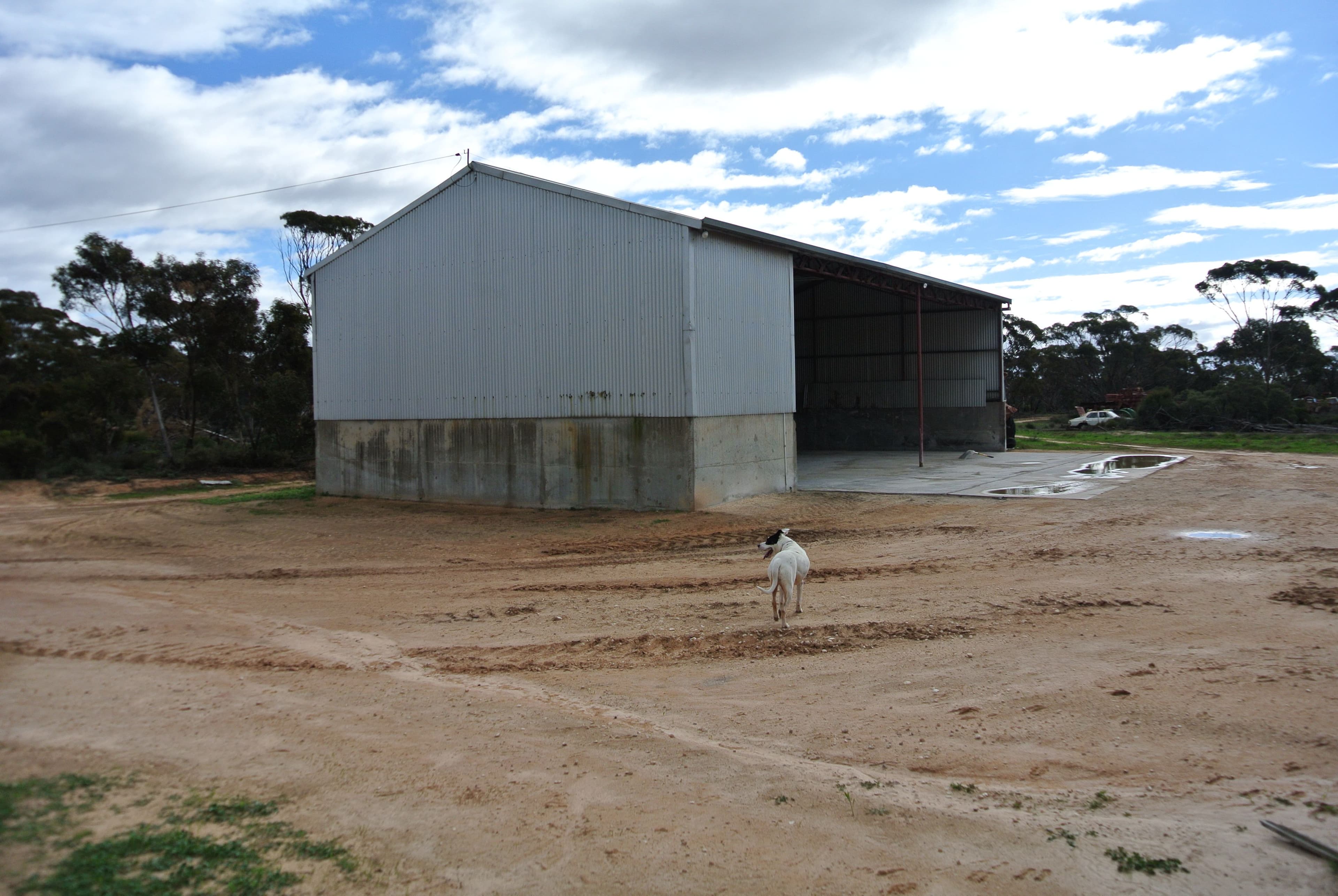 Salmon Gums WA 6445, Salmon Gums - Thumbnail 3