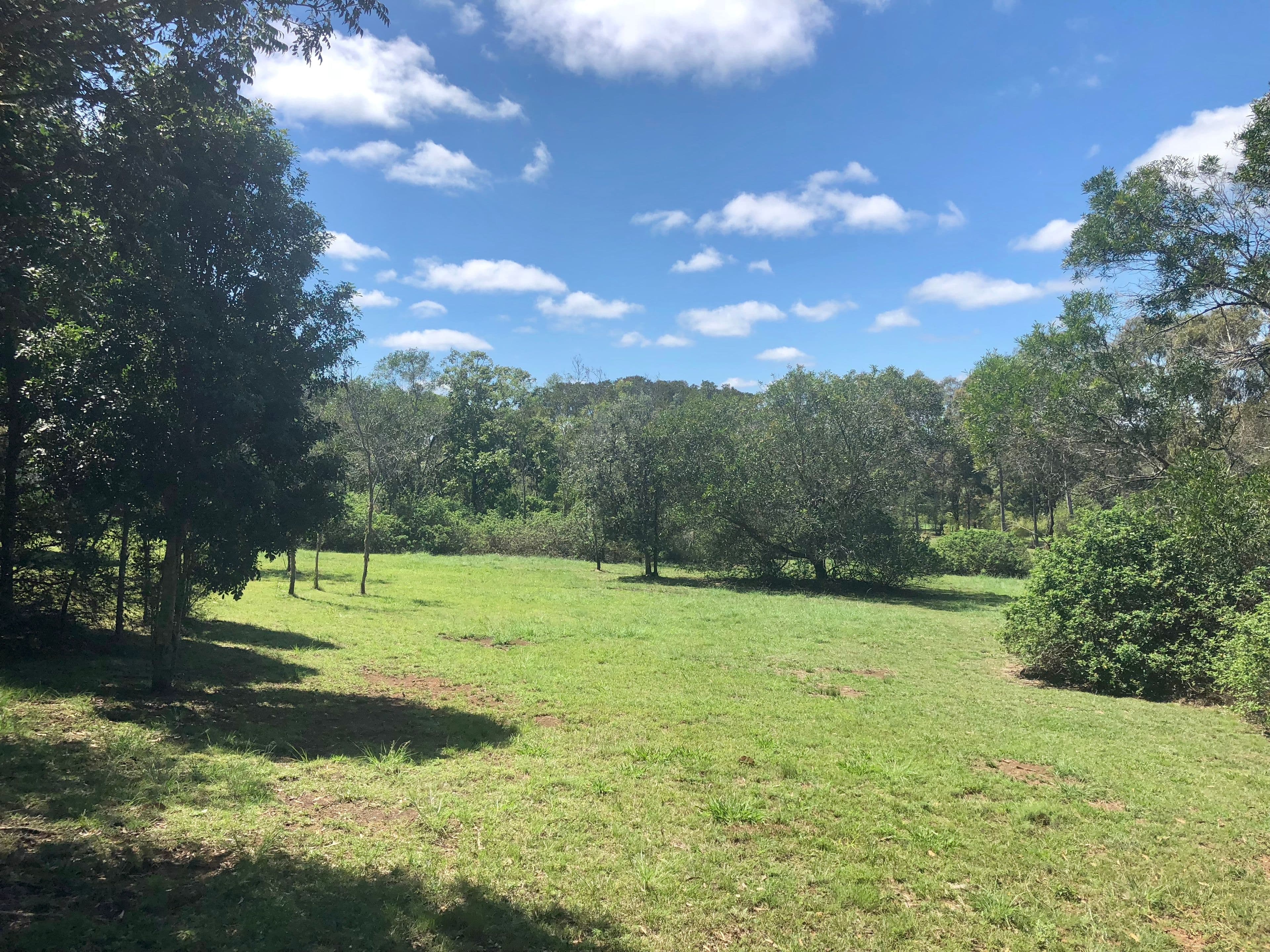 Lot 49 Greenhills Drive, Blackbutt QLD 4314, Blackbutt - Thumbnail 5