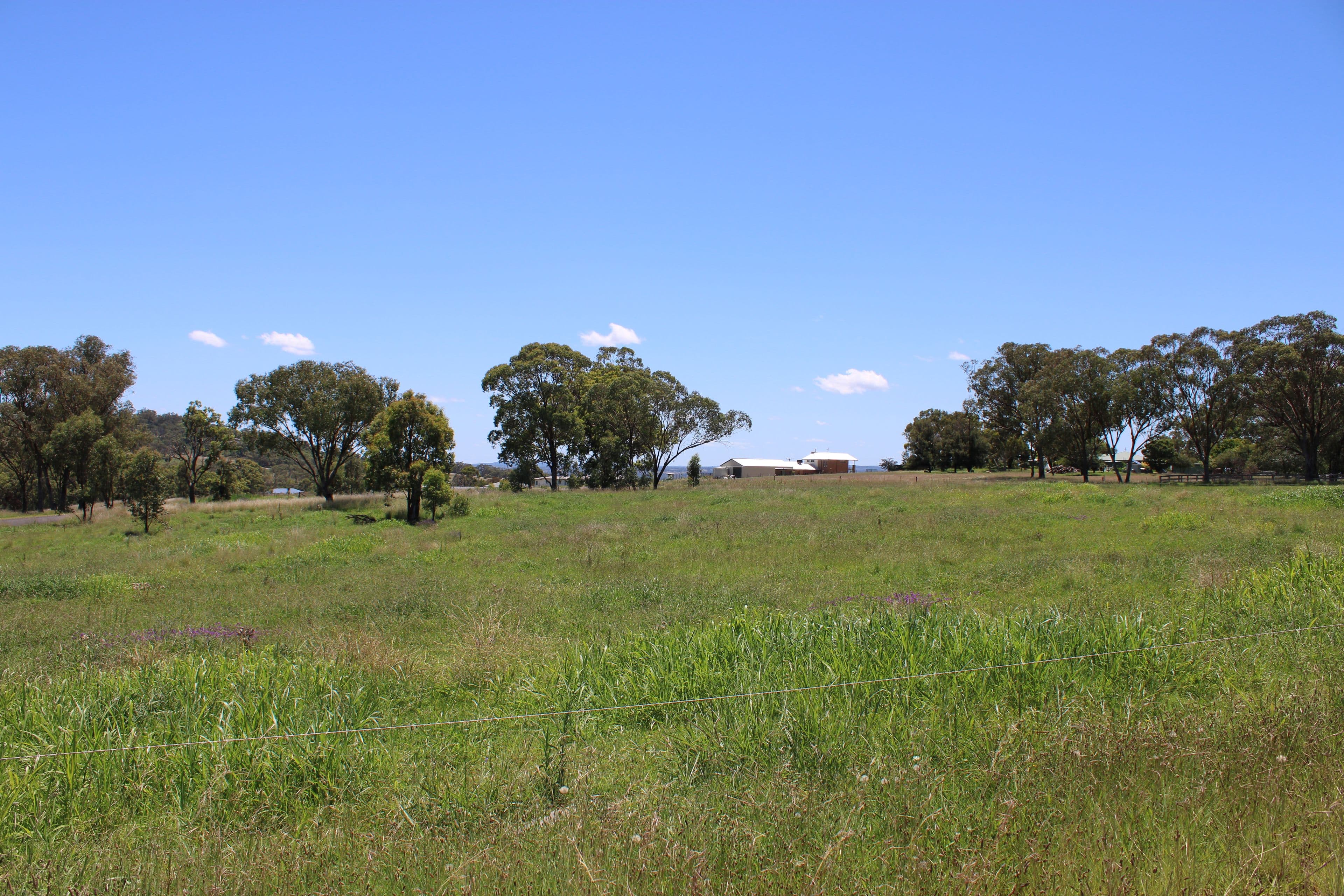 13 Bullamungee Close, Inverell NSW 2360, Inverell - Thumbnail 4