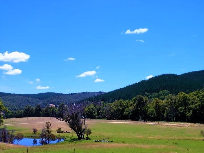 Lot 84 Balingup Nannup Road, Nannup WA 6275, Nannup - Thumbnail 4