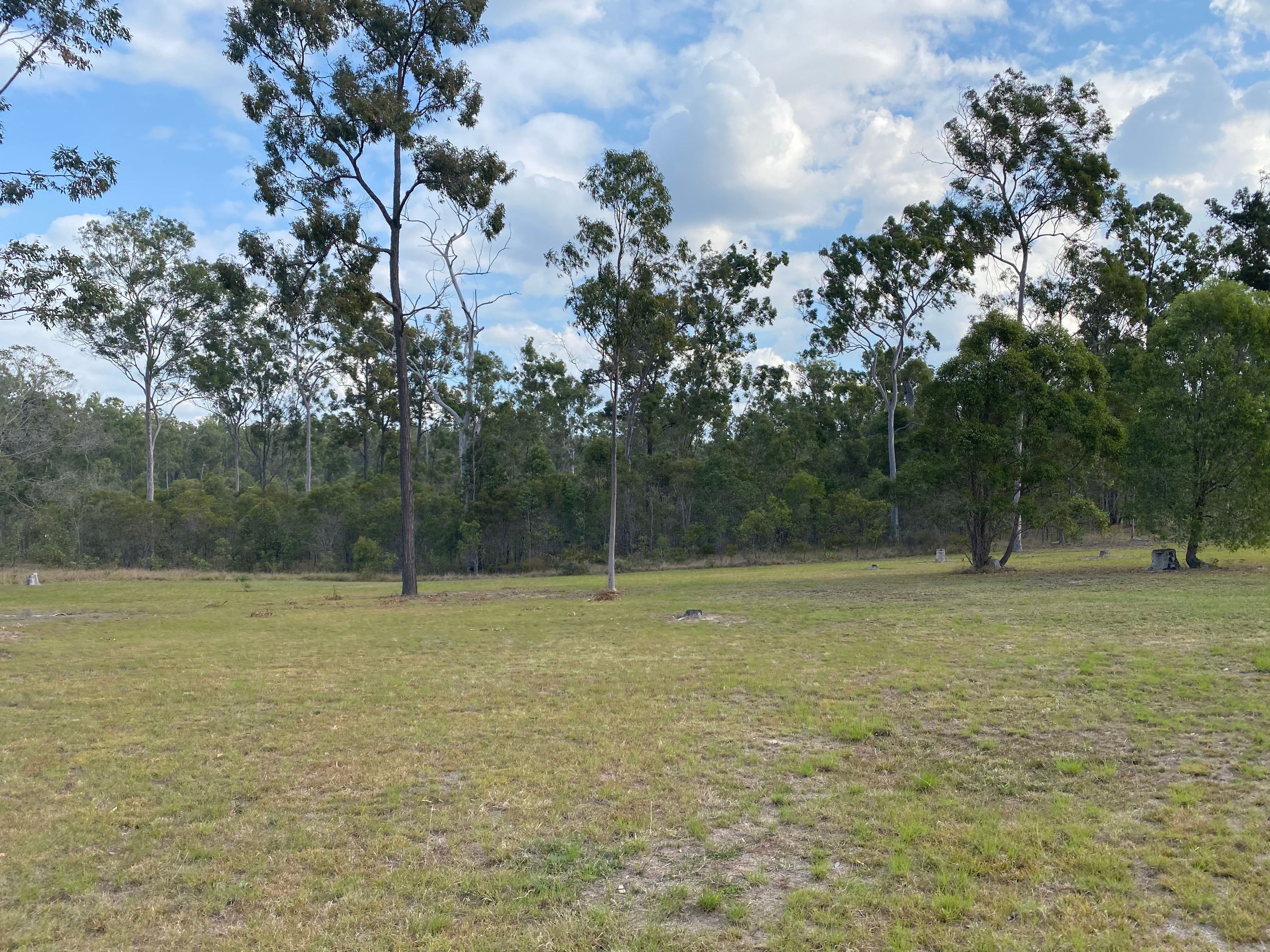 Lot 59 Suthers Road, Dunmora QLD 4650, Dunmora - Thumbnail 3