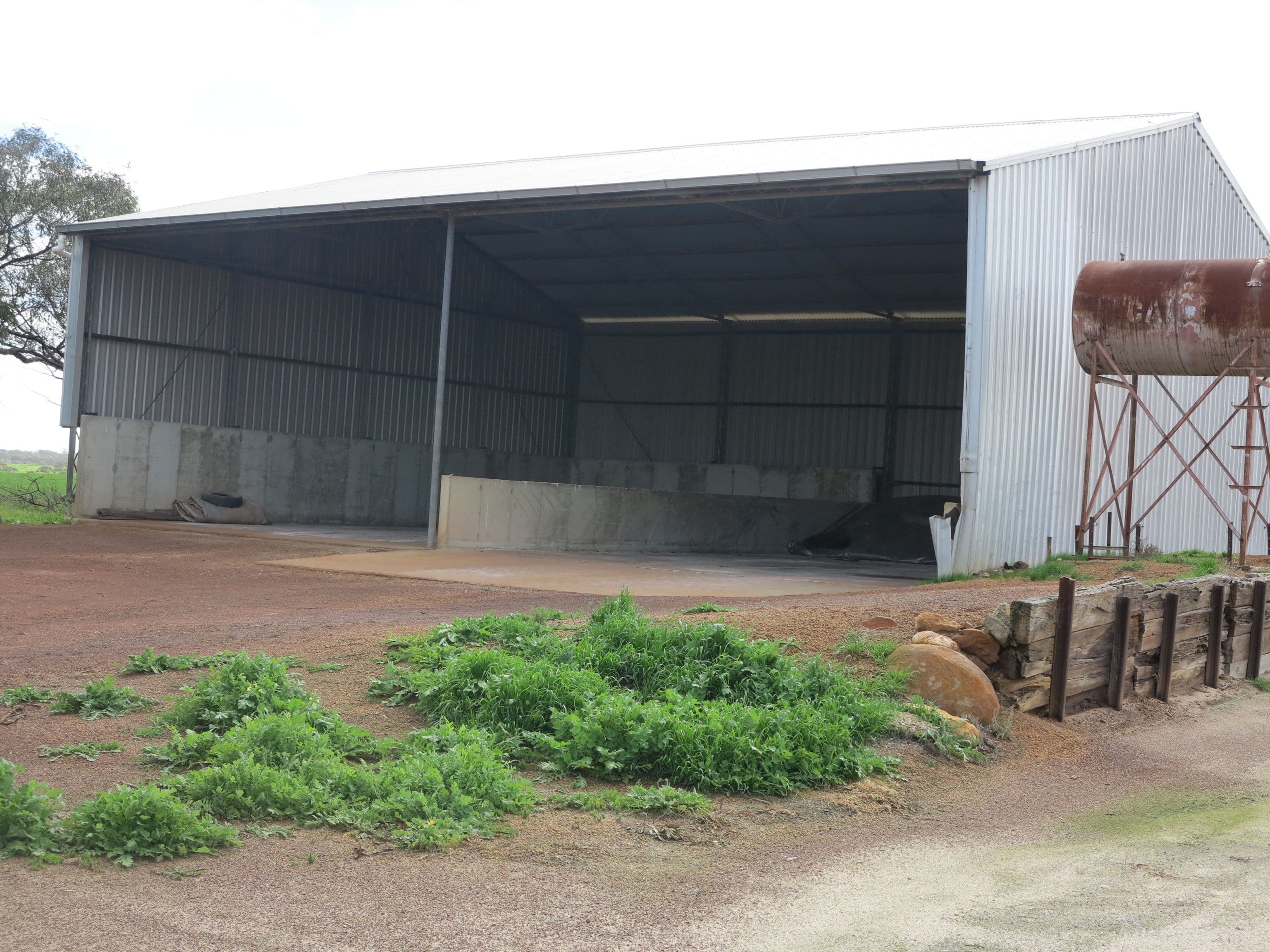 Mitchells North, Coorow WA 6515, Coorow - Thumbnail 7