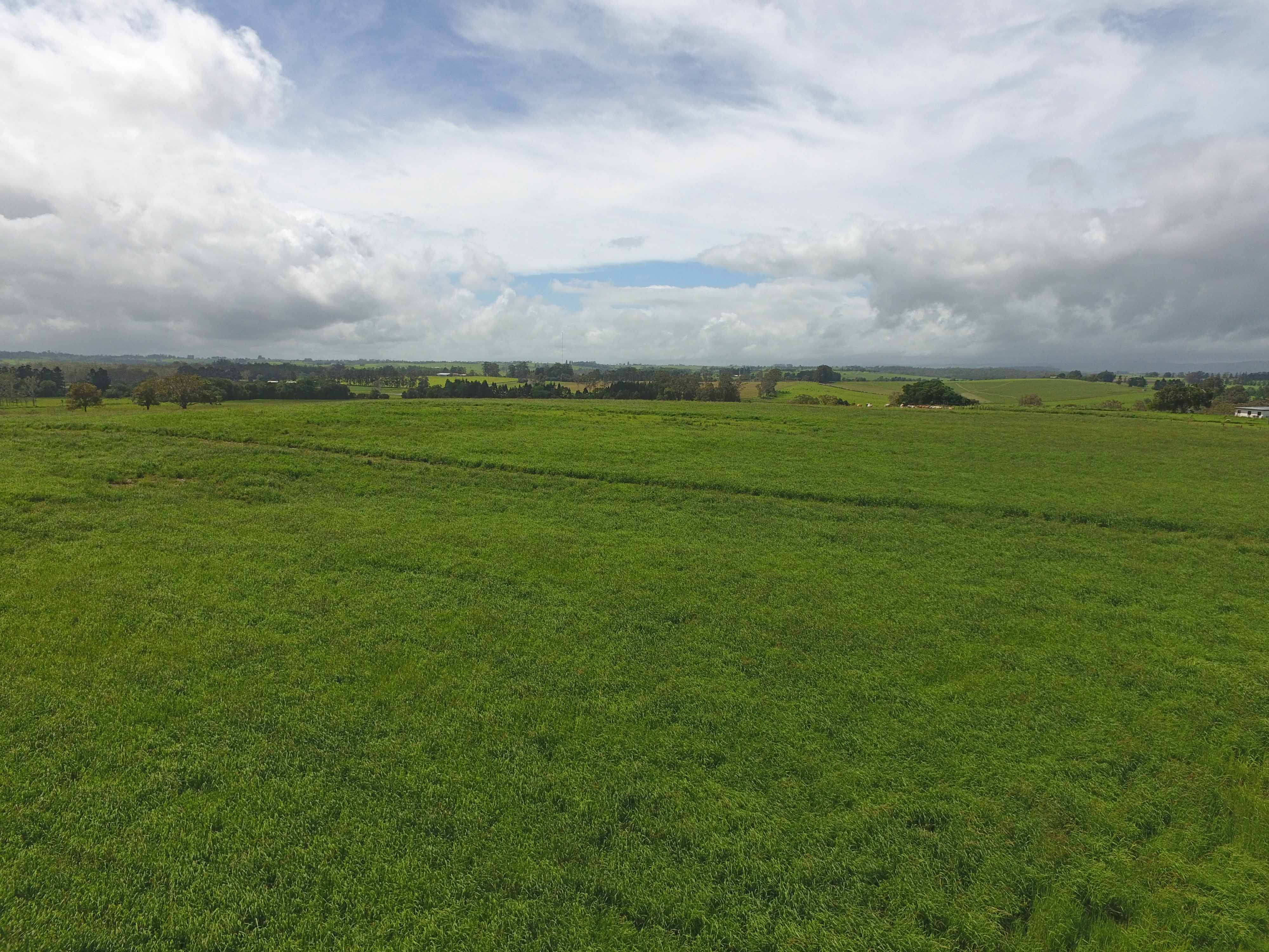 East Barron QLD 4883, East Barron - Thumbnail 2