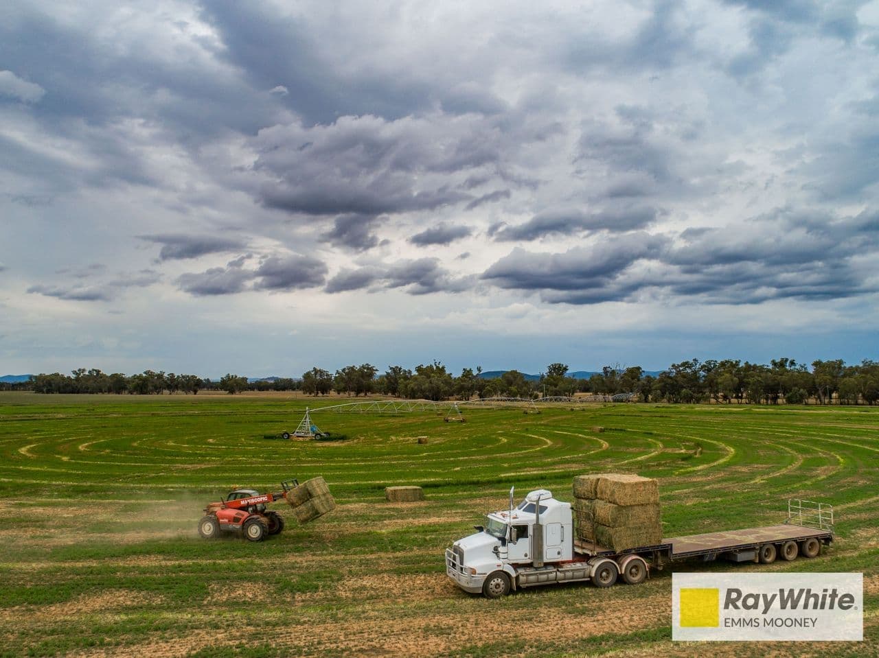 130 McInnis Lane, Gooloogong NSW 2805, Gooloogong - Thumbnail 6