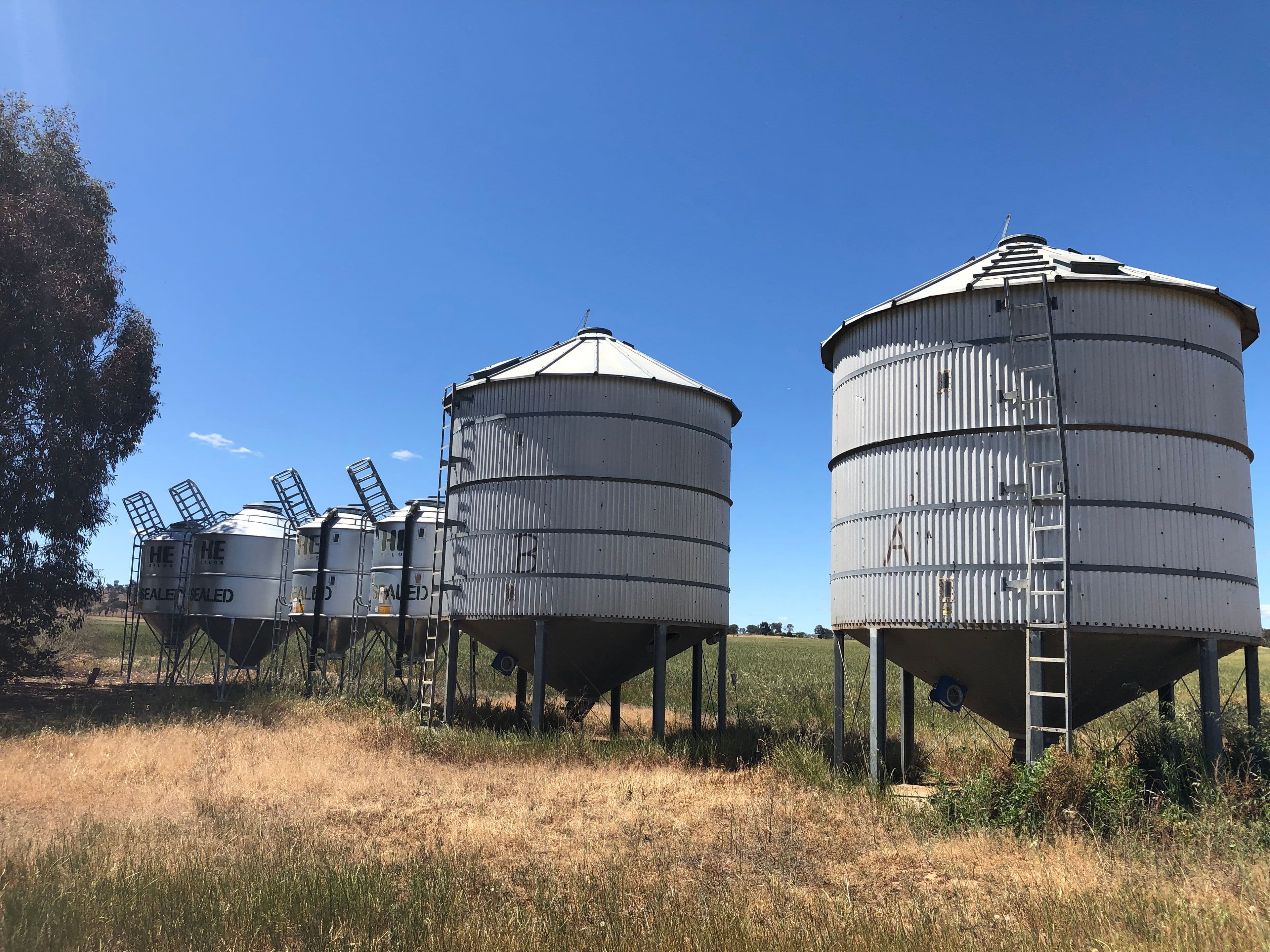 "LeGrenier" 617 Canowindra Road, Cowra NSW 2794, Cowra - Thumbnail 7