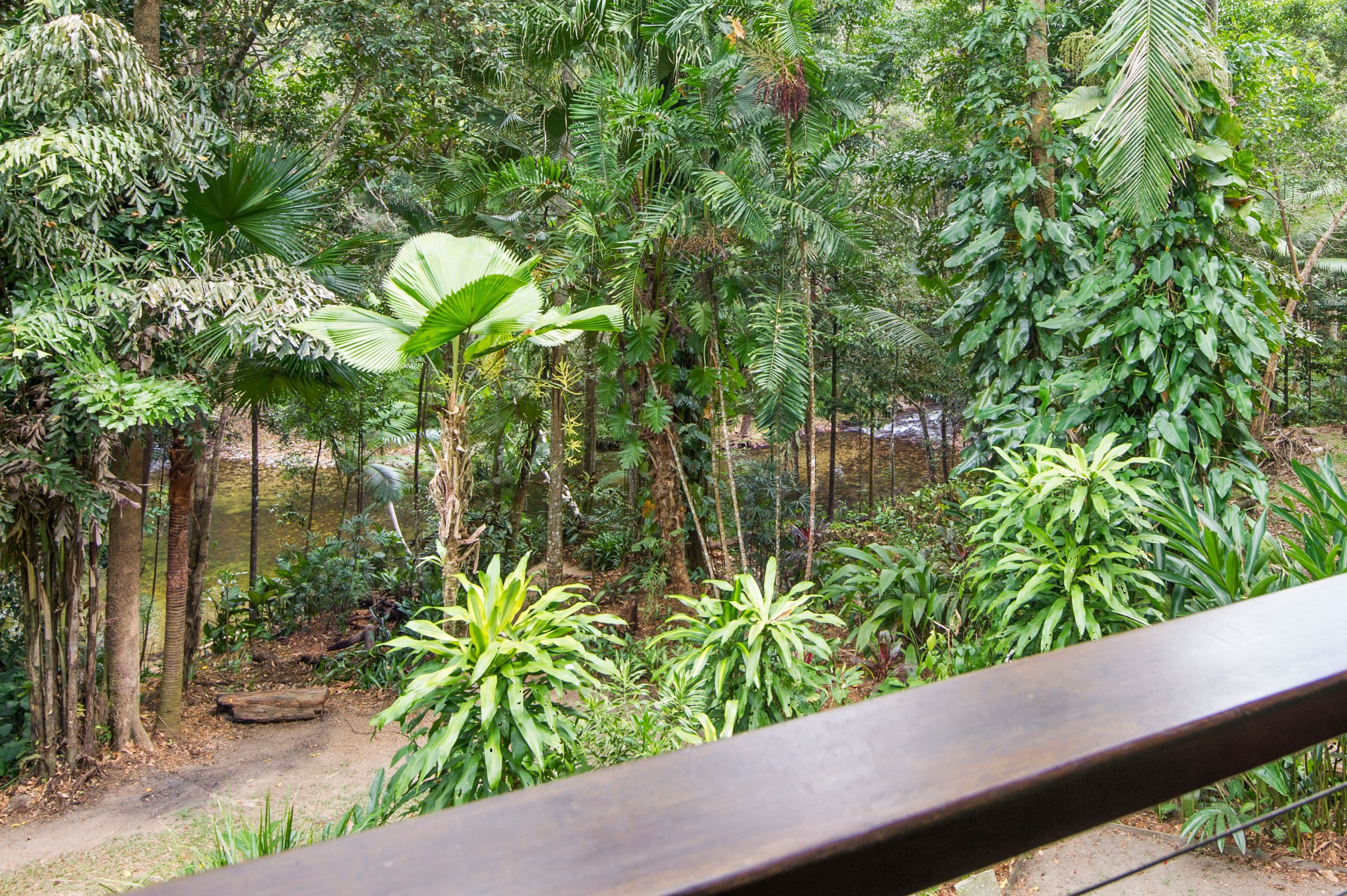 194 Ponzo Road, Shannonvale QLD 4873, Shannonvale - Thumbnail 5