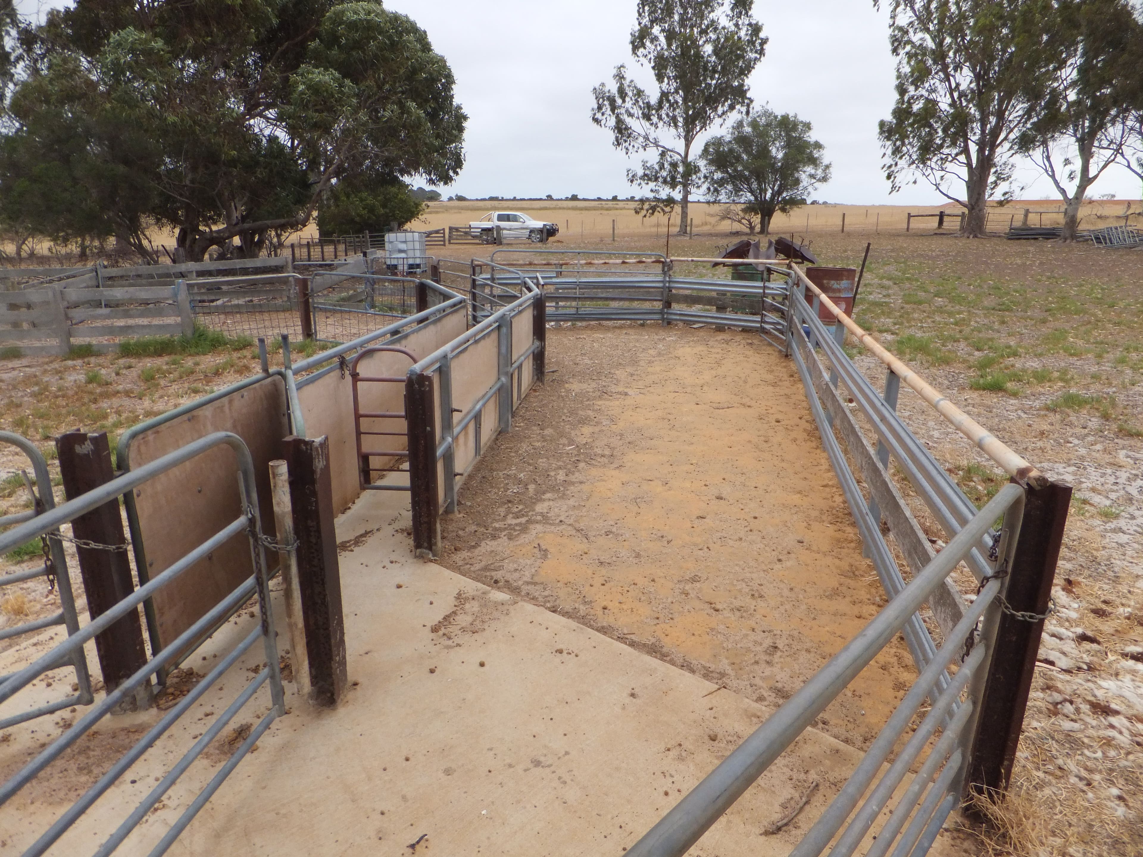 1539 Middle Road, Jerdacuttup WA 6346, Jerdacuttup - Thumbnail 6
