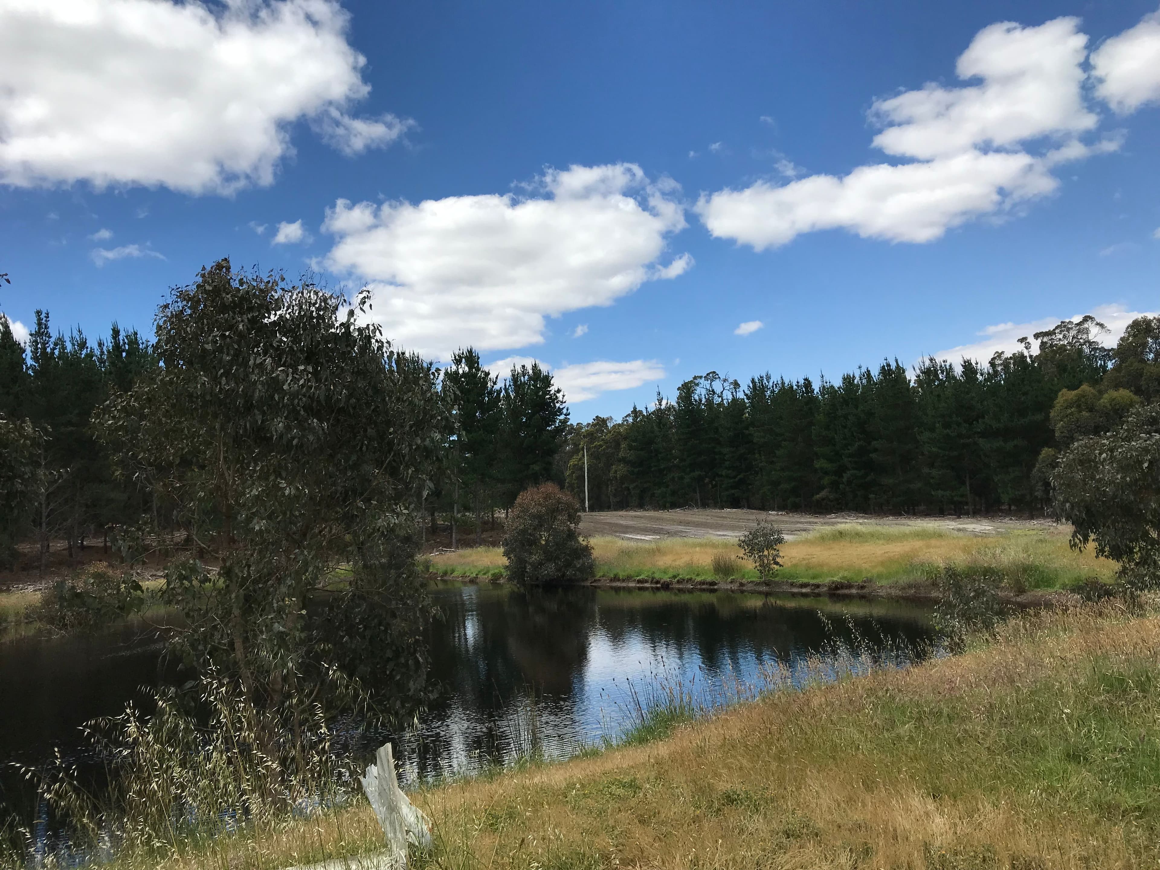 2242 Hamilton Rd, Winnejup, Bridgetown WA 6255, Bridgetown - Image 1