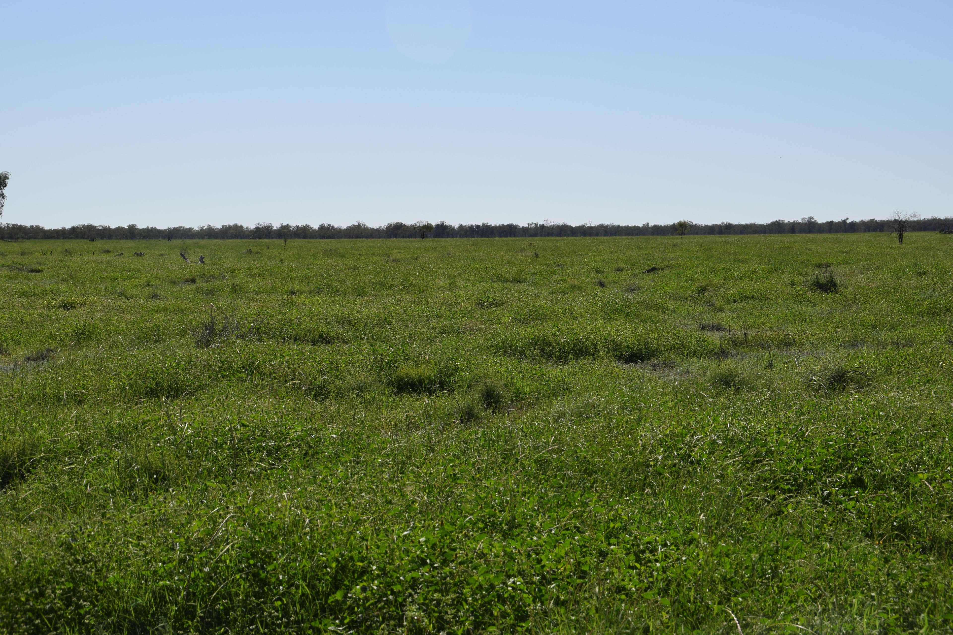 'Guiseley' 2606 Gingie Road, Walgett NSW 2832, Walgett - Thumbnail 6