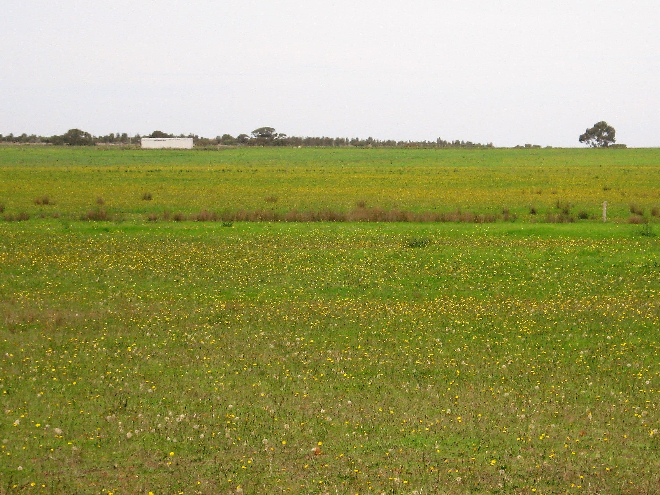 Lot 1 Myrup Road, Myrup WA 6450, Myrup - Thumbnail 3