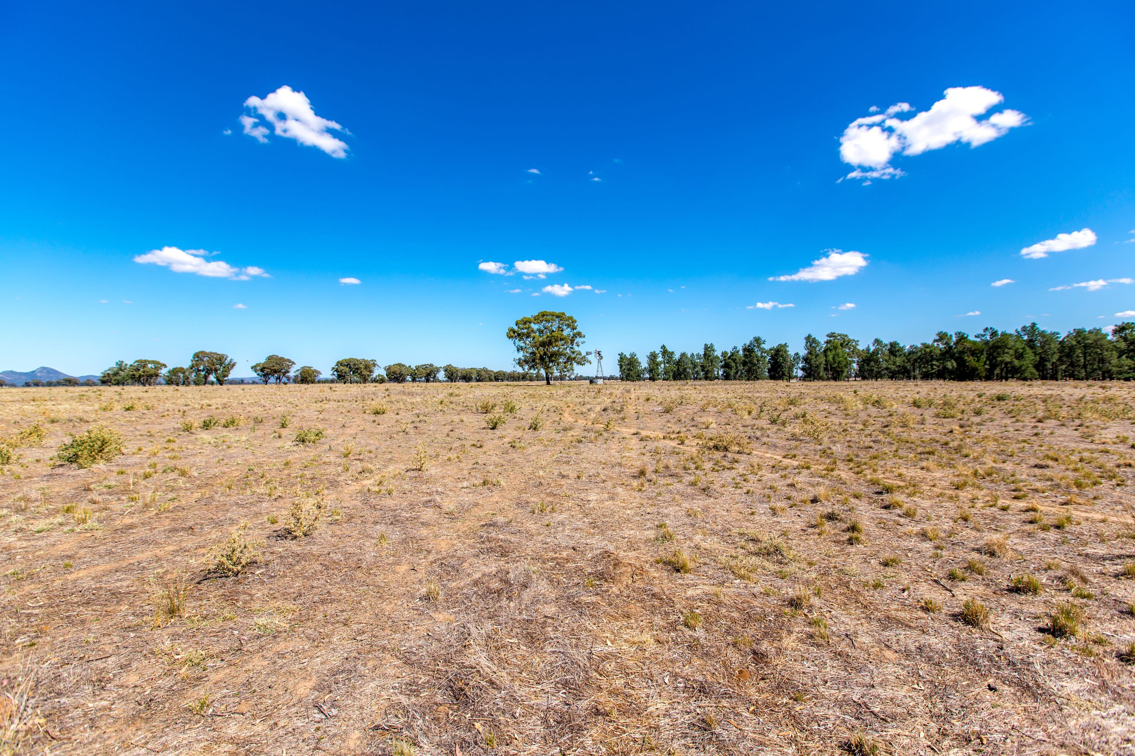 368 Bullenbong Road, THE ROCK NSW 2655, The Rock - Thumbnail 4