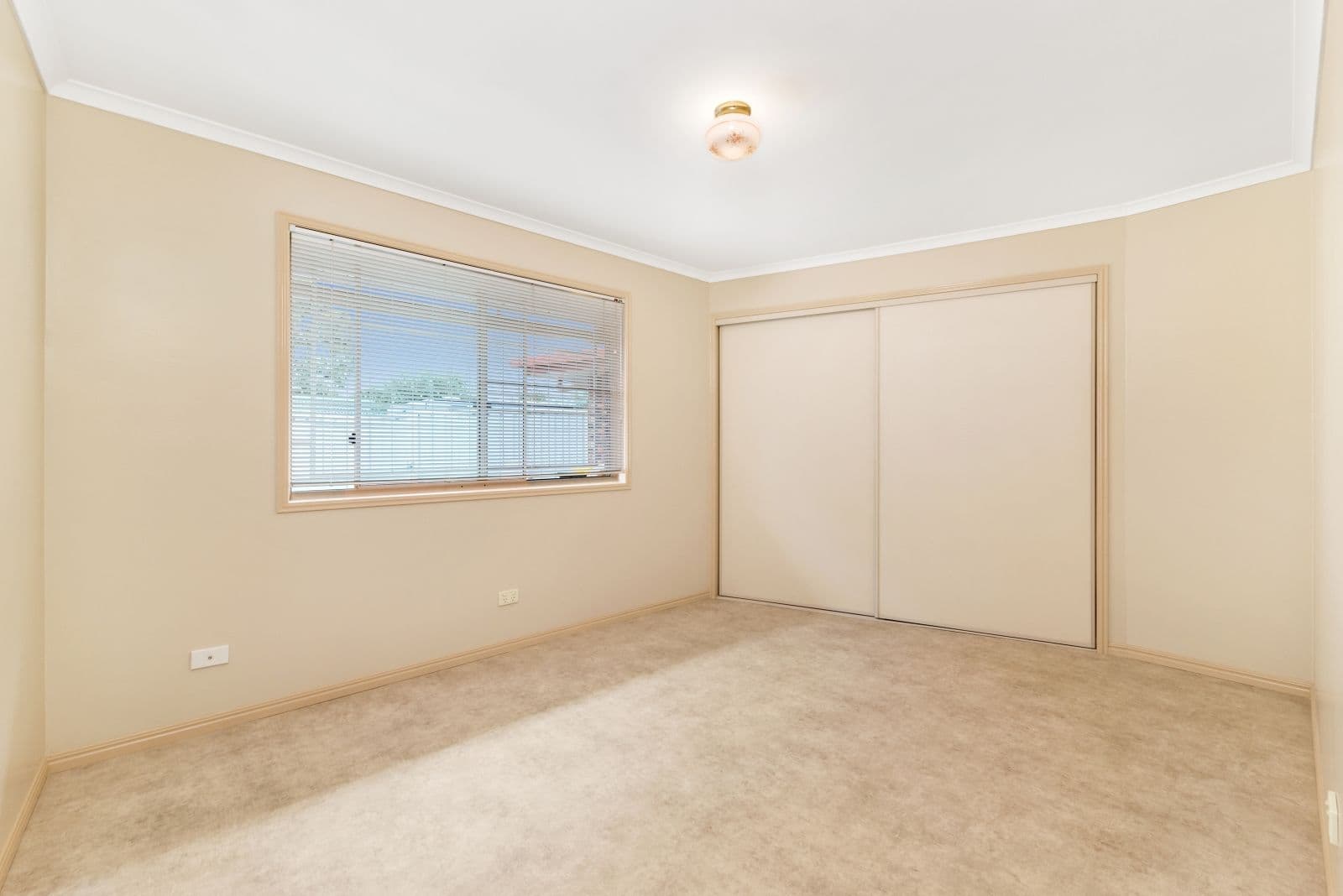 172 Bigmor Drive, Elimbah QLD 4516, Elimbah - Thumbnail 8