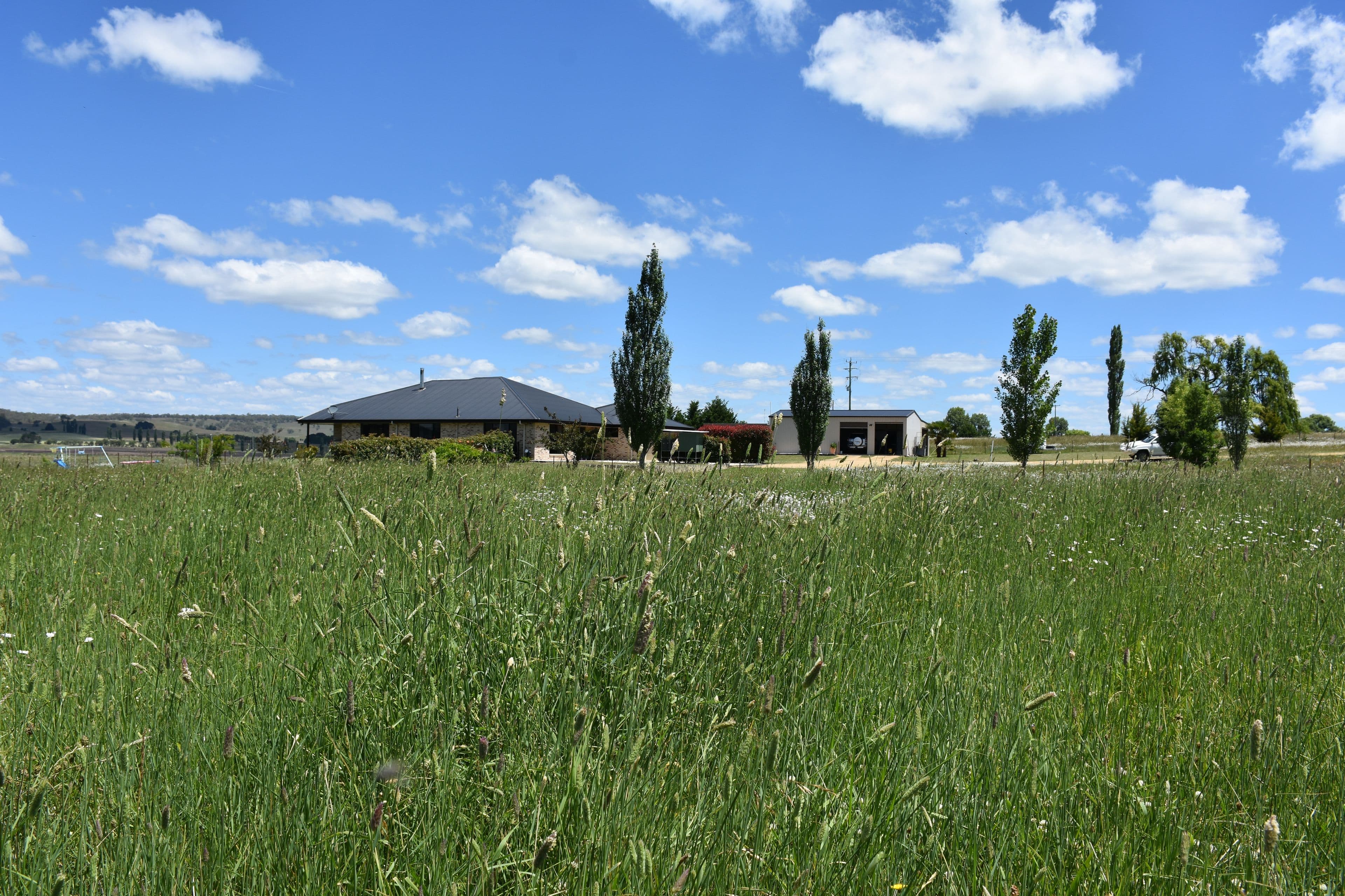323 Red Range Road, Glen Innes NSW 2370, Glen Innes - Thumbnail 2