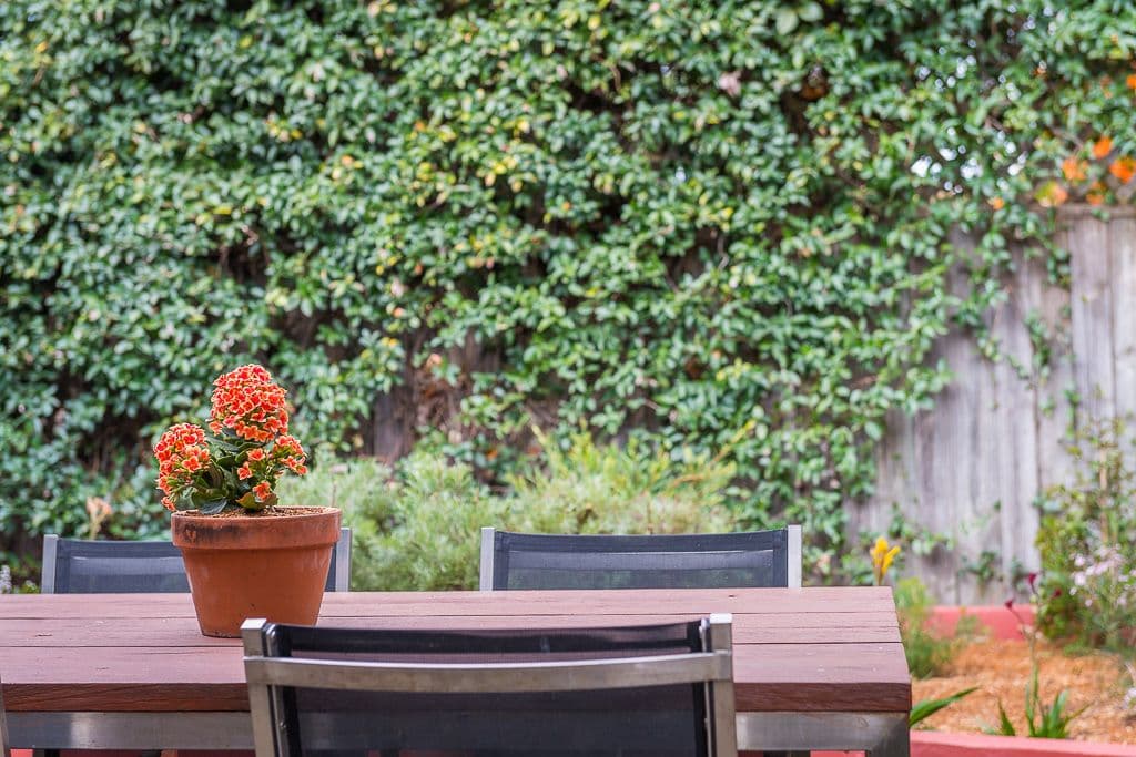 55 Llewellyn Street, Marrickville - Thumbnail 7