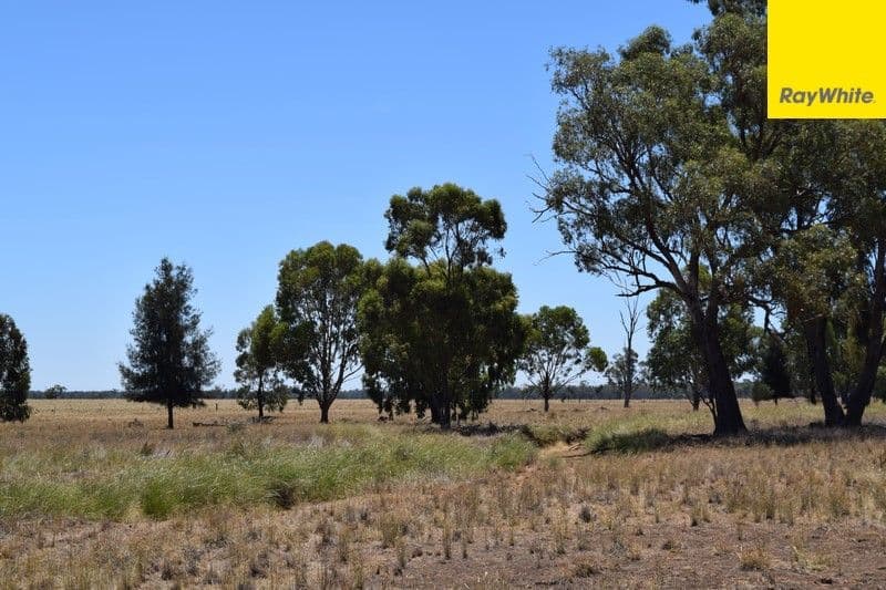 Argyle Downs 44 Woodford Road, BRUIE PLAINS NSW 2875, Bruie Plains - Thumbnail 2