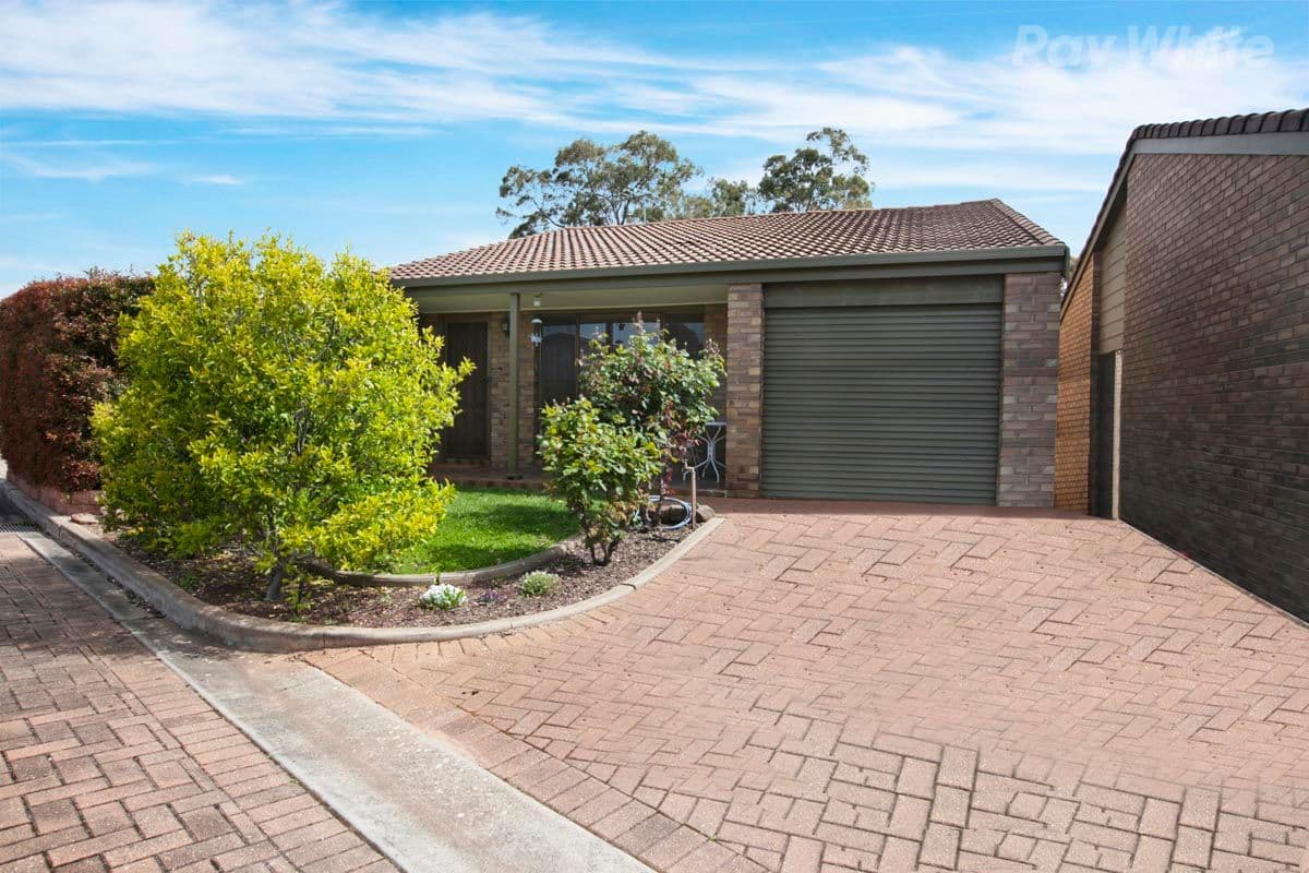 3/718 Lower North East Road, Paradise SA 5075, Paradise - Thumbnail 7