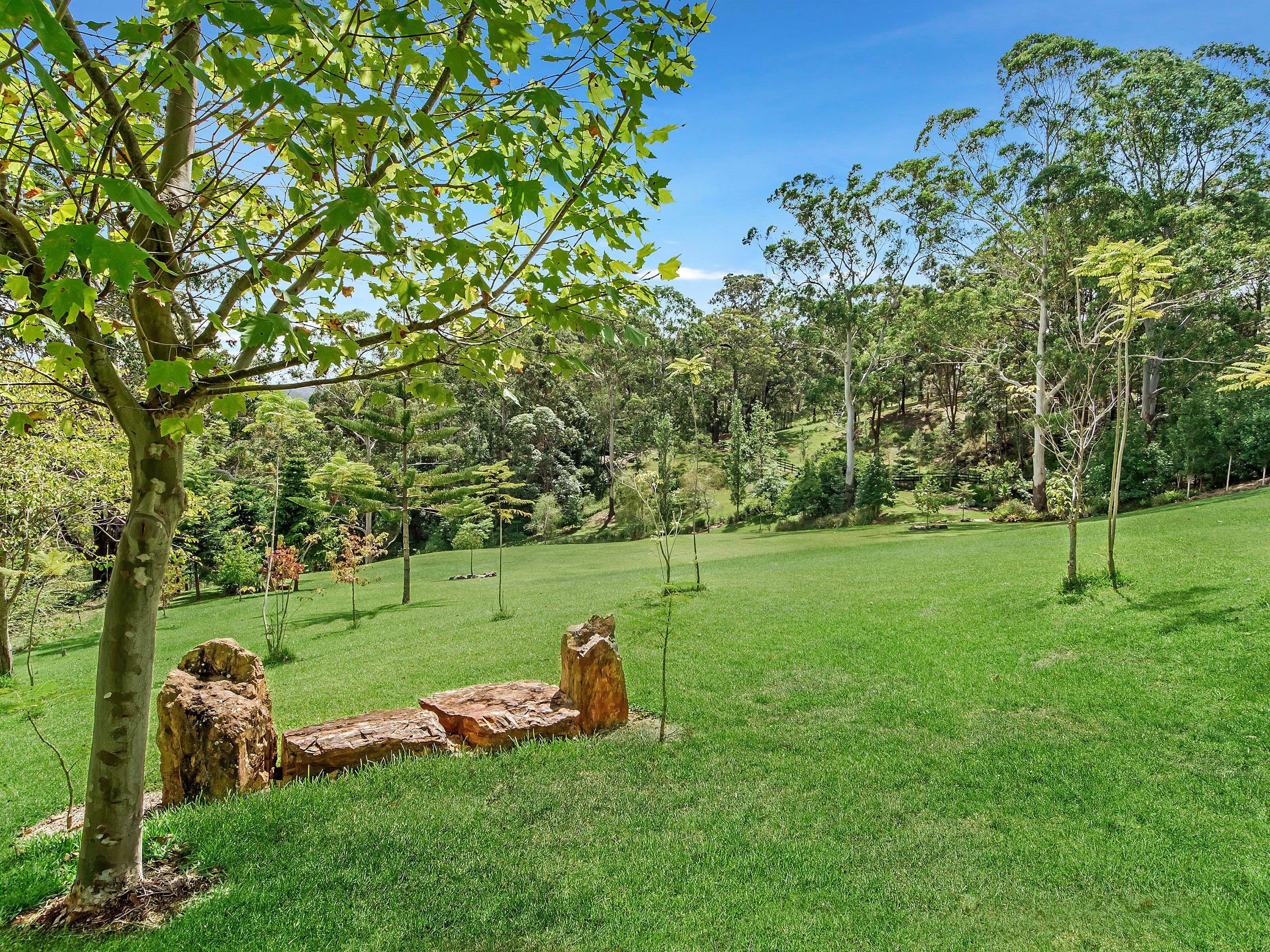 85 Walter Court, Wongawallan QLD 4210, Wongawallan - Thumbnail 4