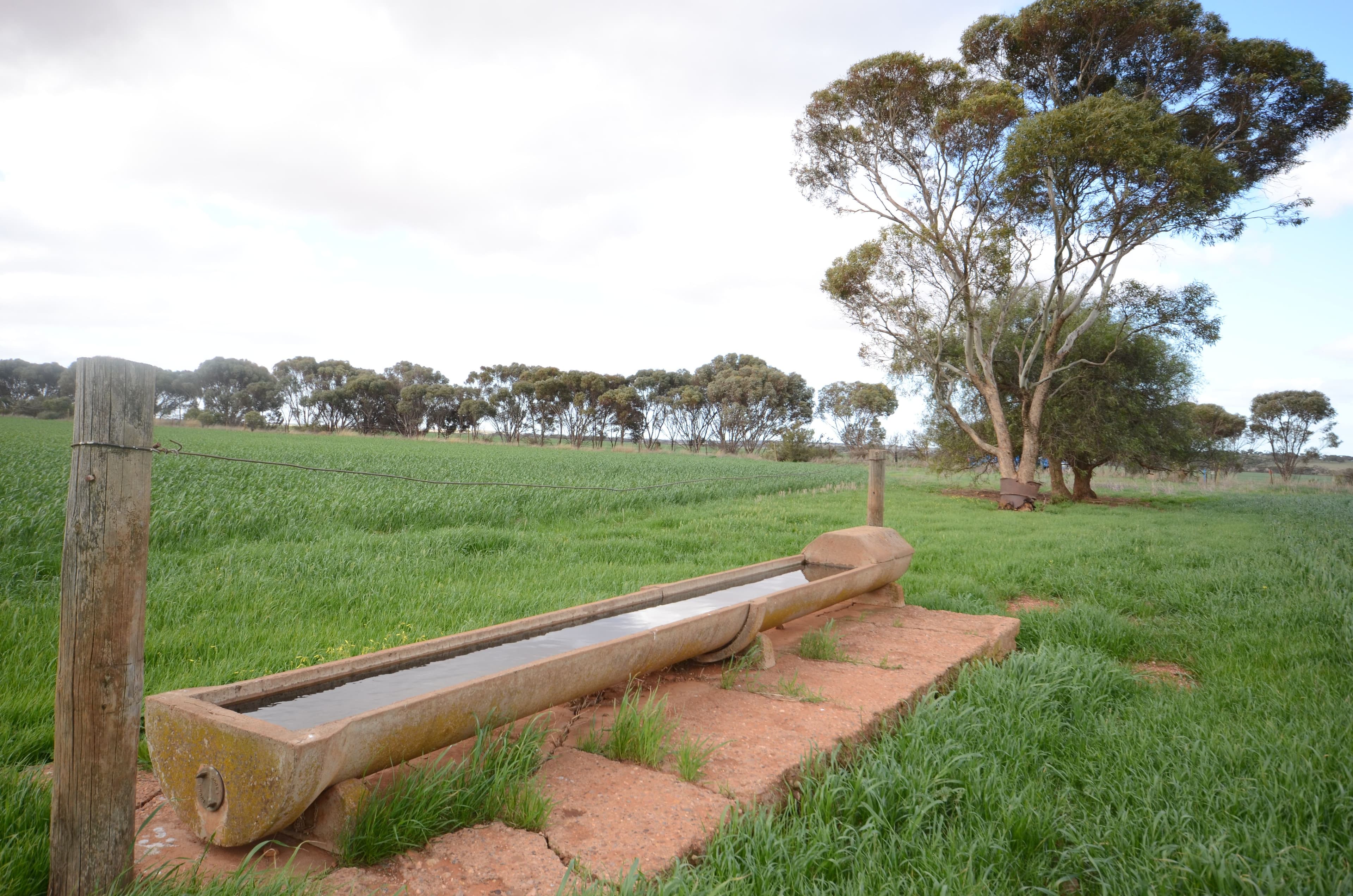 "Roockes" and "Schulzs" - Von Reiben Road, Neales Flat SA 5374, Neales Flat - Thumbnail 2