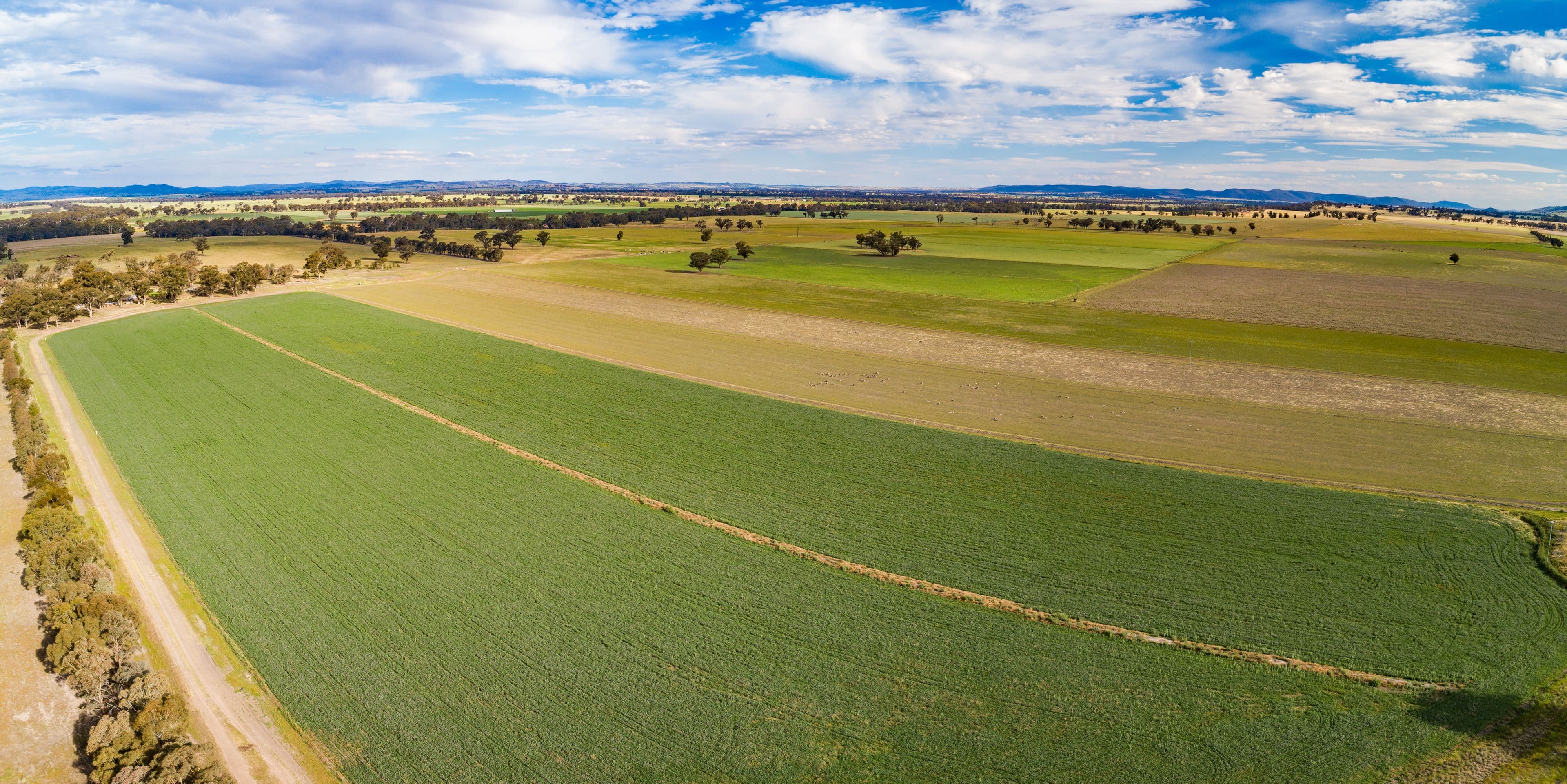 1015 Mid Western Highway, Cowra NSW 2794, Cowra - Image 1