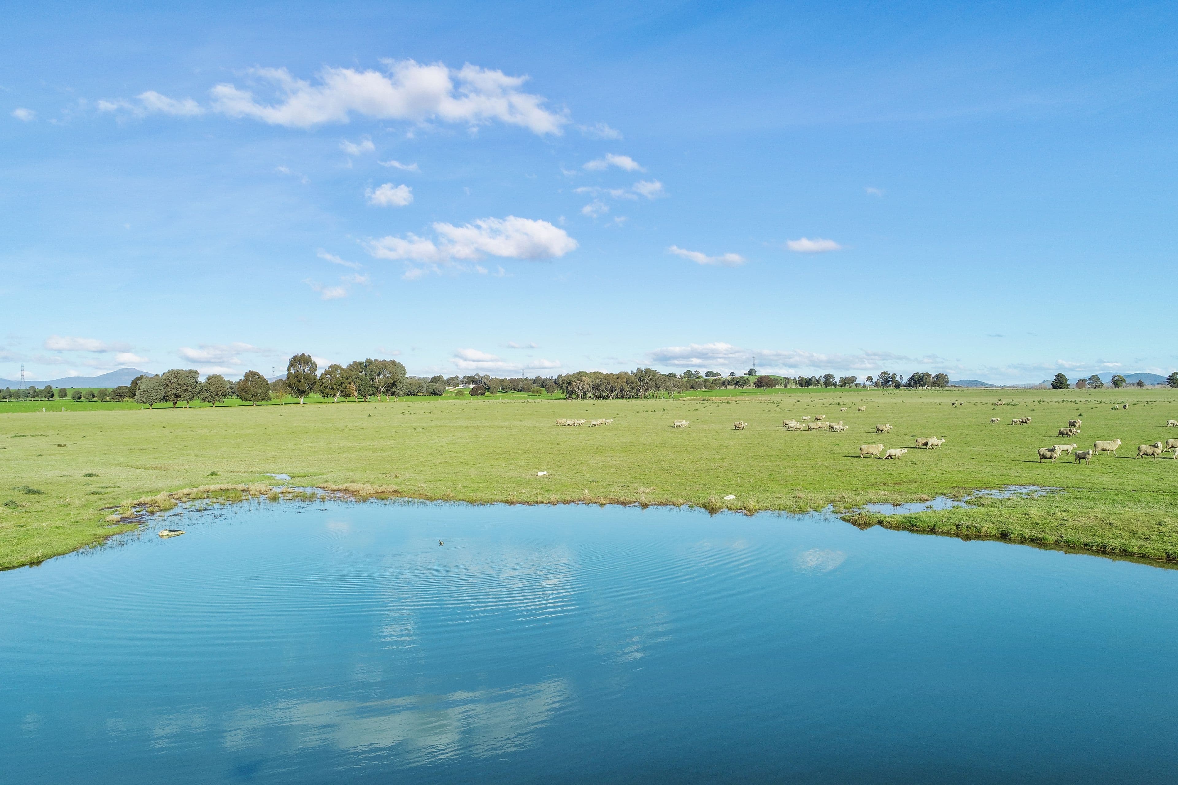 Lot 2 Mt Buller & Lot 3 Pollards, Mansfield VIC 3722, Mansfield - Thumbnail 4