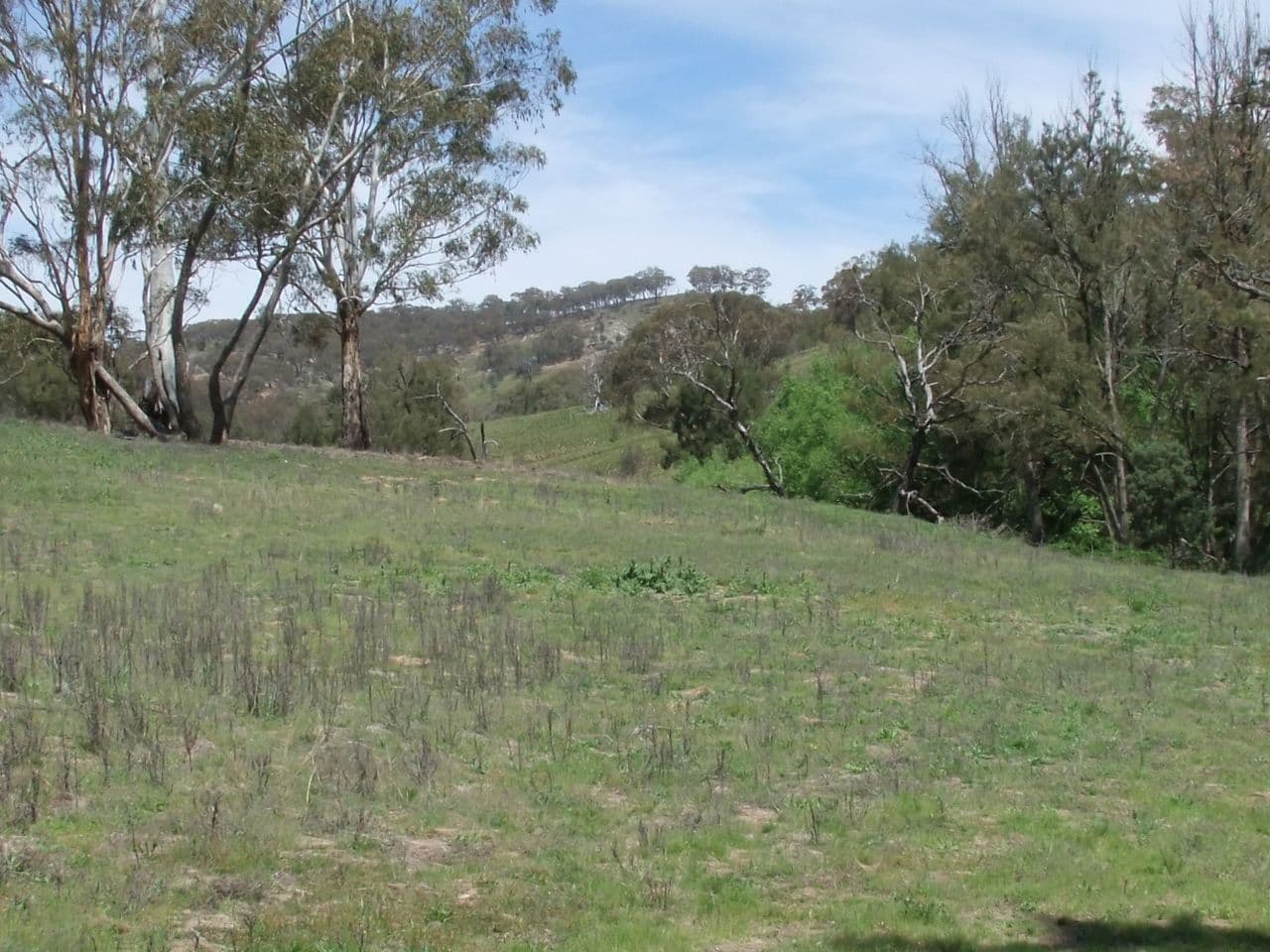 Bathurst NSW 2795, Bathurst - Thumbnail 5