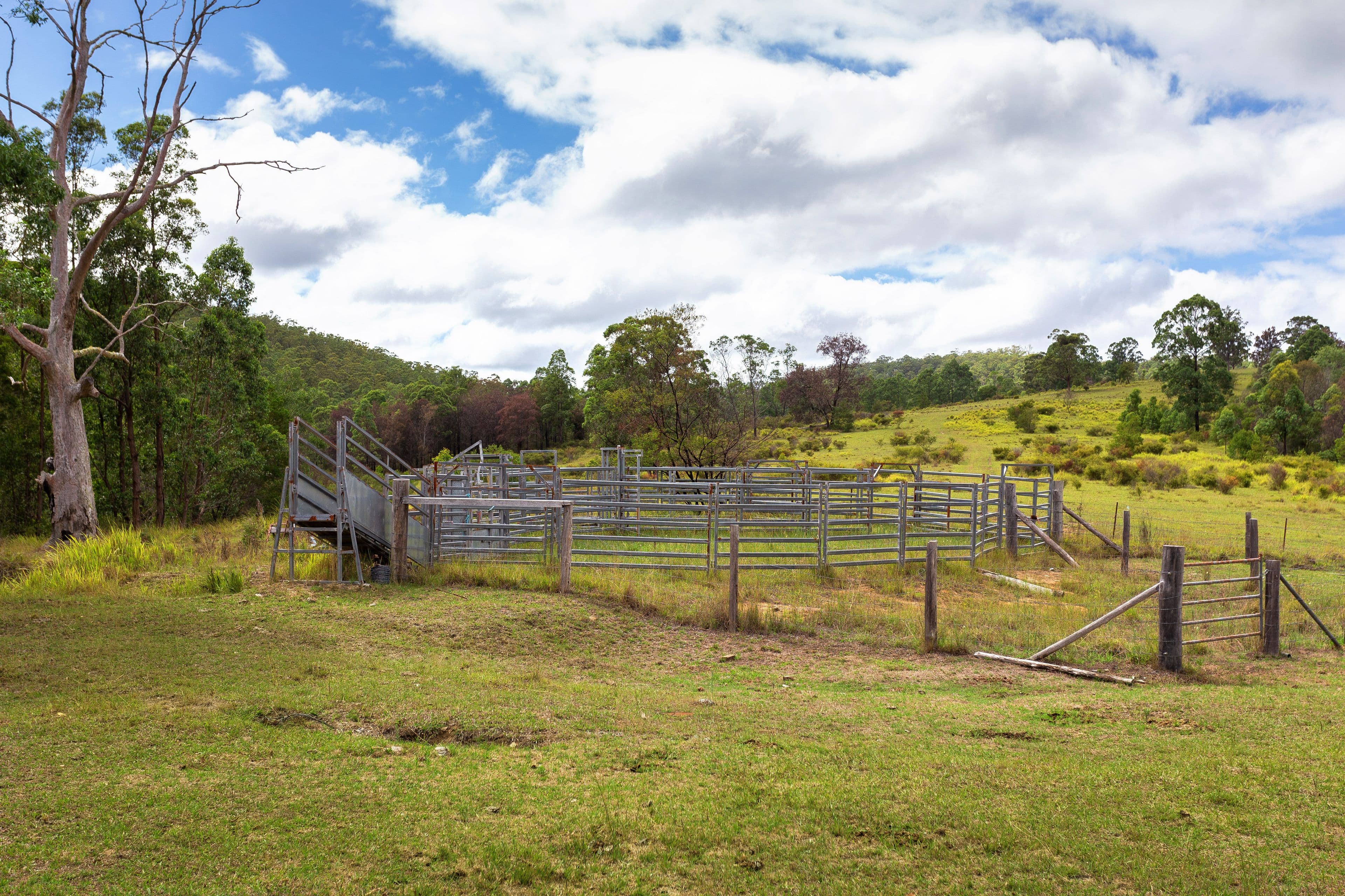 626 Black Flat Lane, Mount George NSW 2424, Mount George - Thumbnail 2