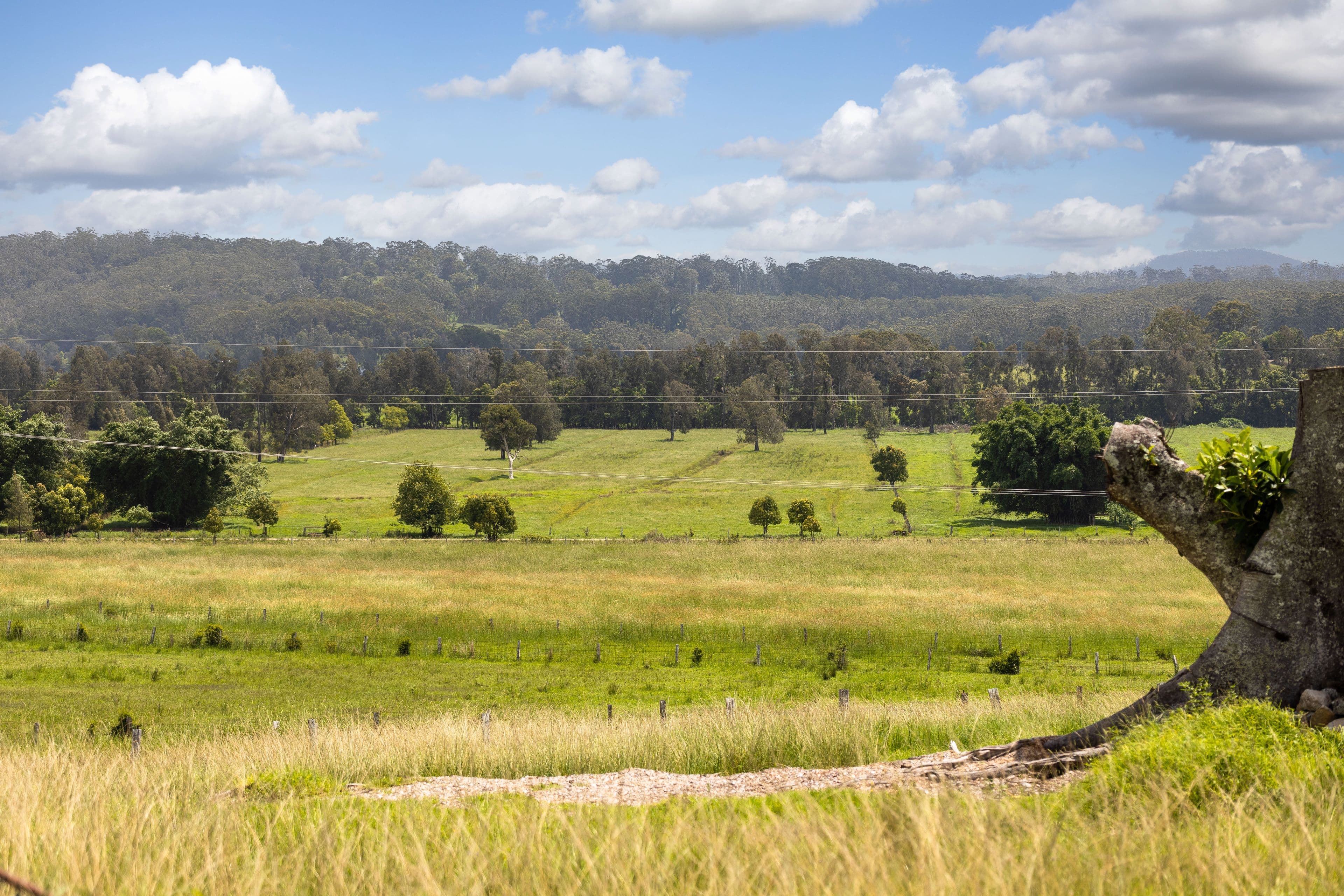 53 Macquarie Street, Coopernook NSW 2426, Coopernook - Thumbnail 8