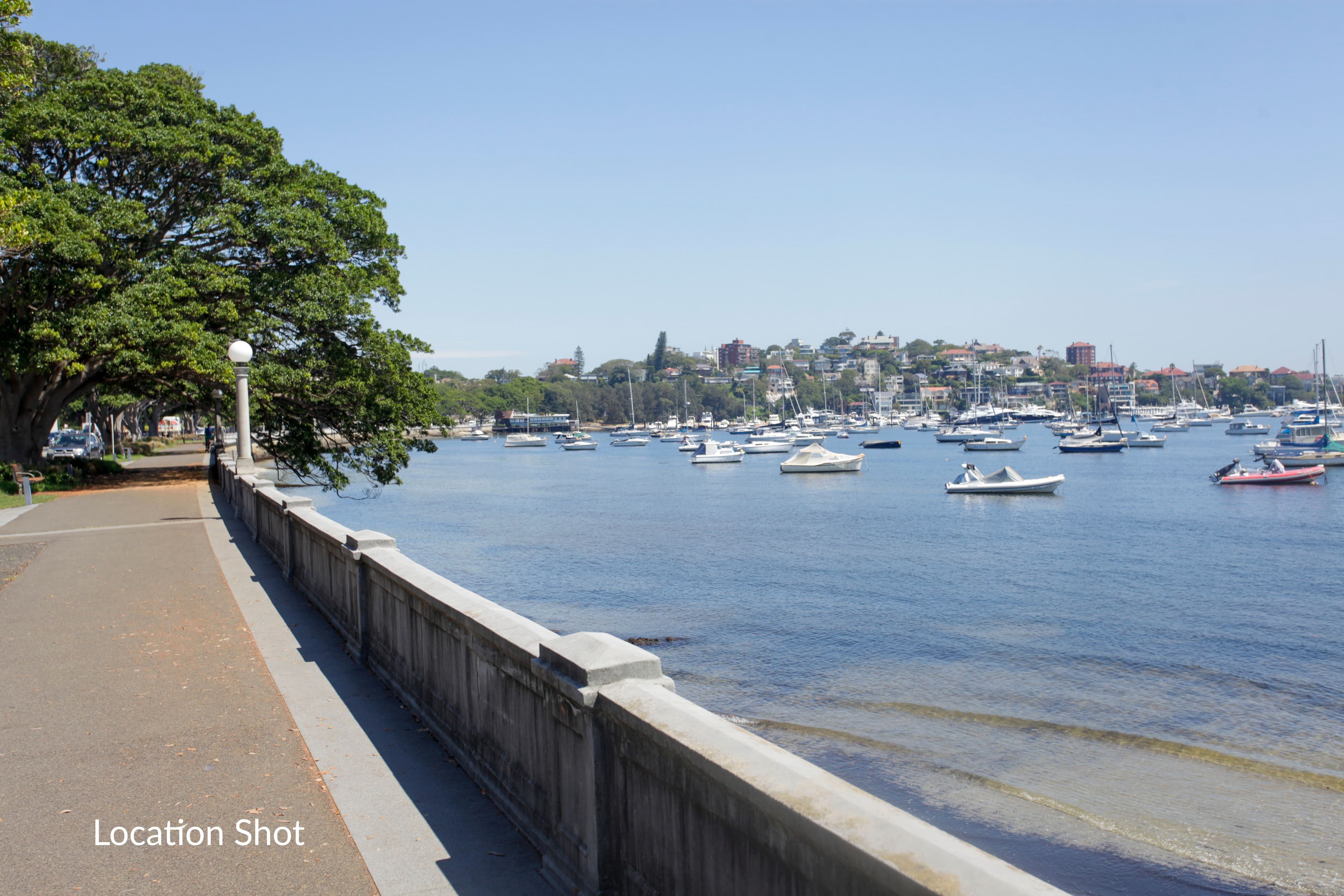48 Chaleyer Street, Rose Bay NSW 2029, Rose Bay - Thumbnail 8