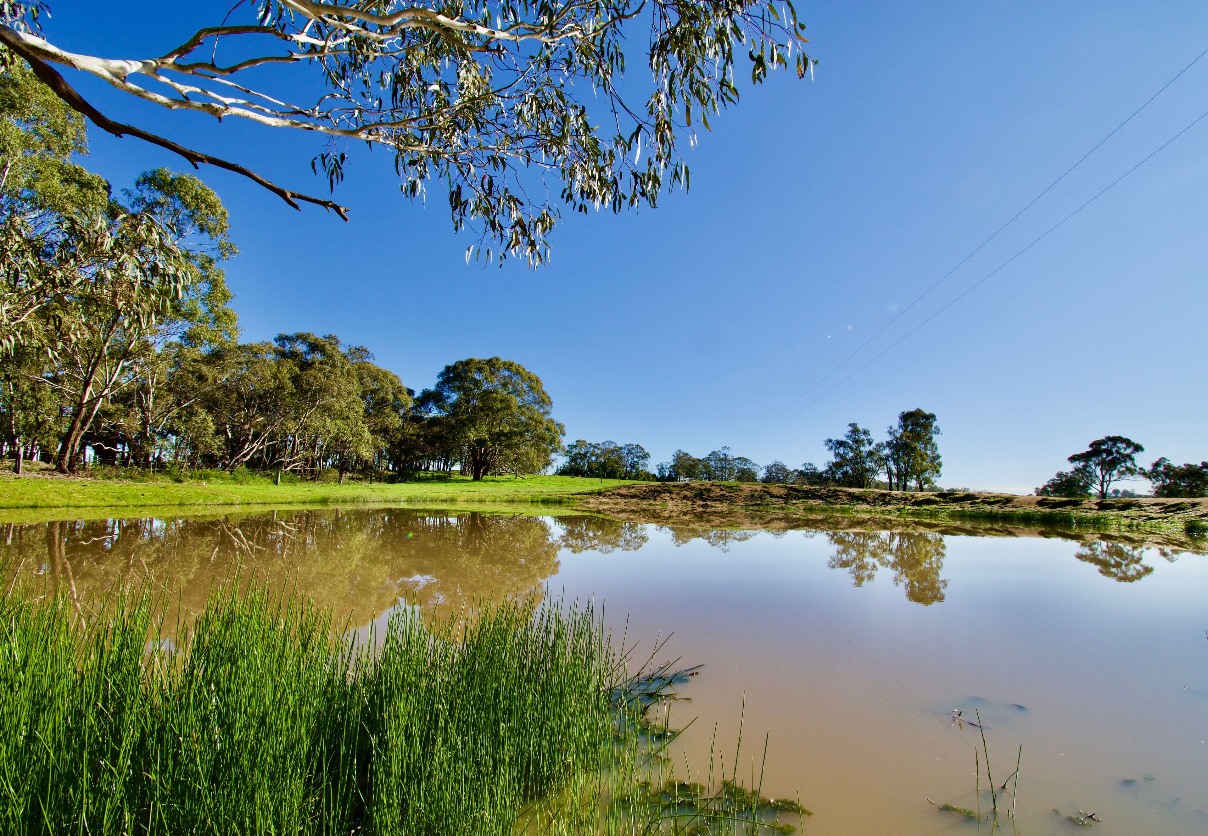 394 Mount Olive Road, Oberon NSW 2787, Oberon - Thumbnail 5