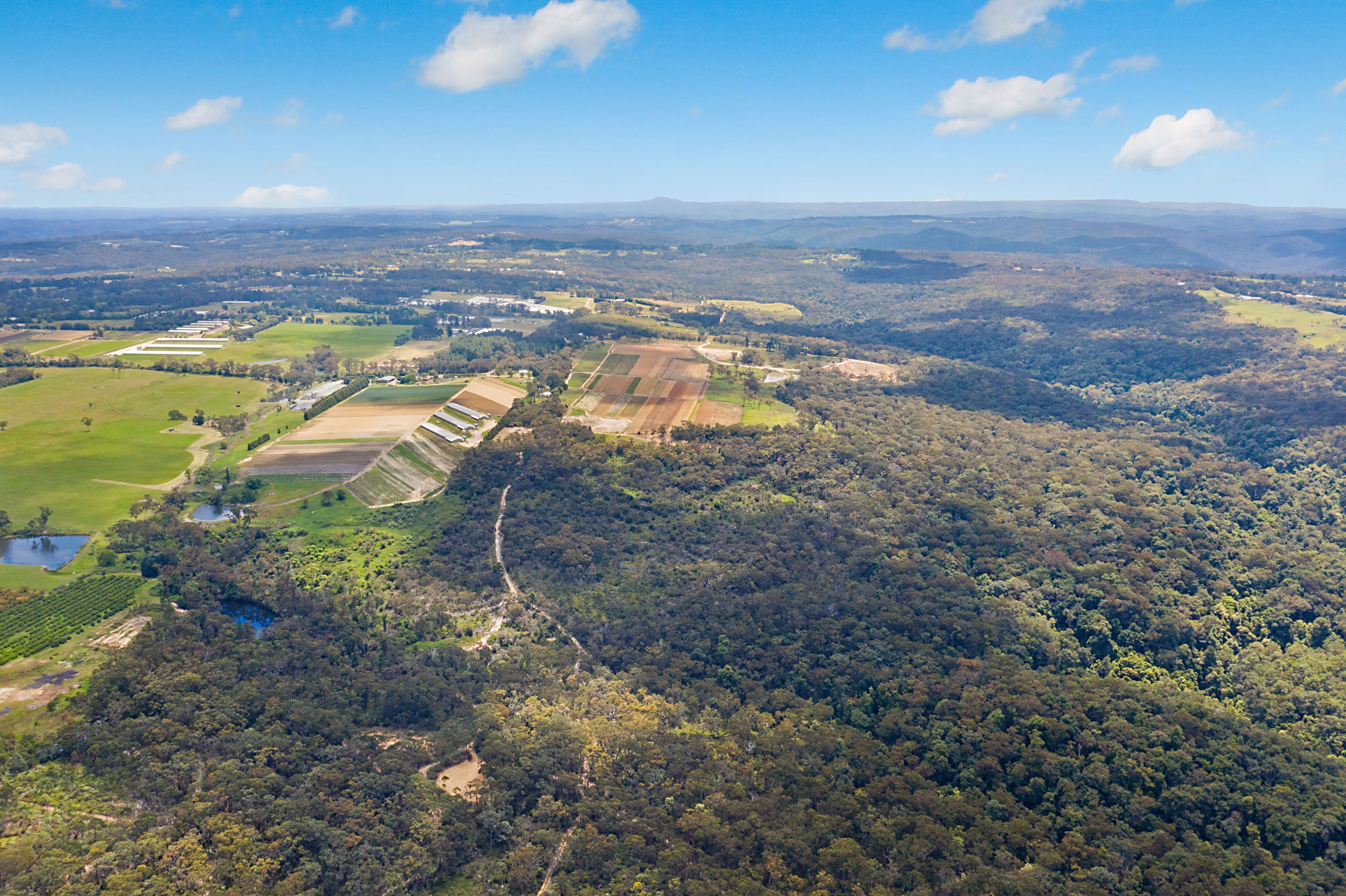 169 Euloo Road, Peats Ridge NSW 2250, Peats Ridge - Thumbnail 4