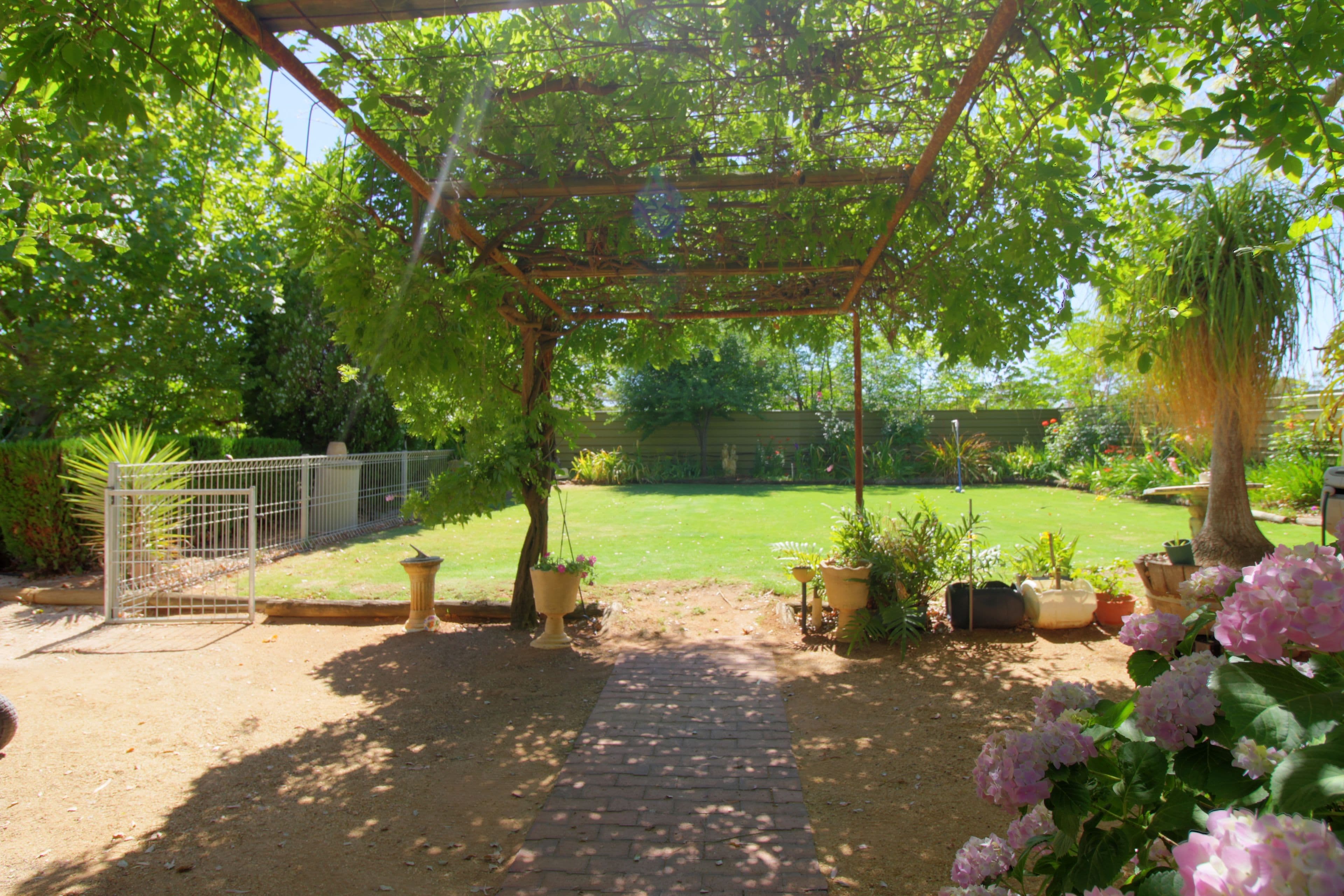 374 Jury Road, Monash SA 5342, Monash - Thumbnail 2
