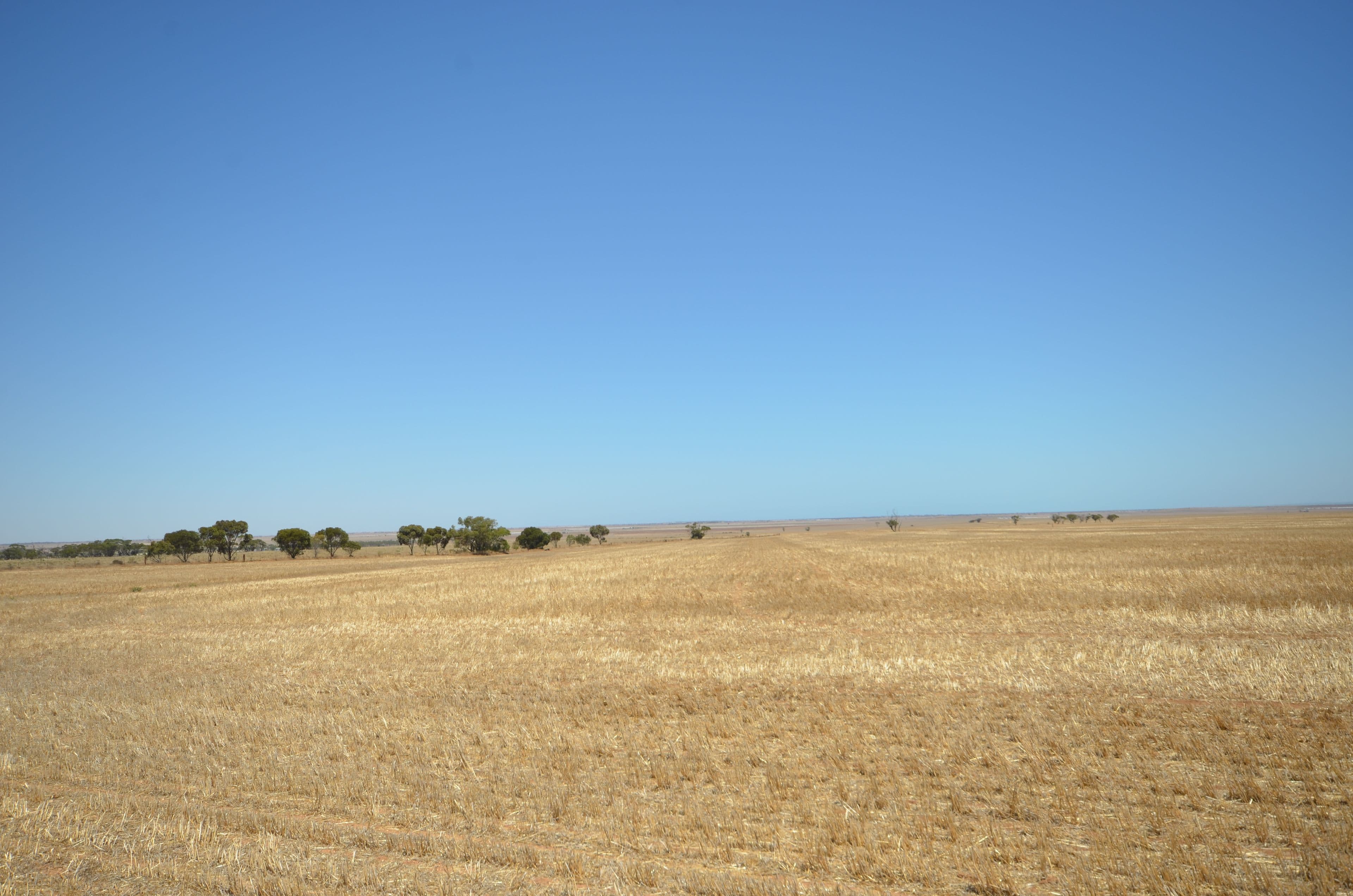 "Forrest" Dohse Road, South Hummocks SA 5550, South Hummocks - Thumbnail 6
